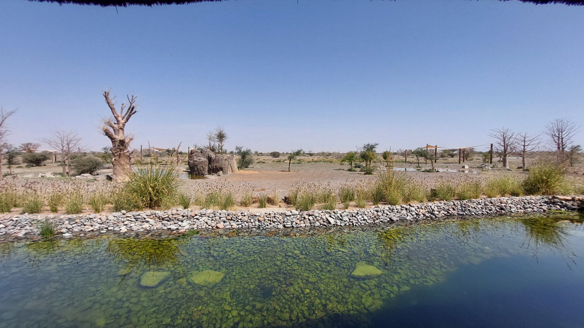 View from restaurant terrace at base camp