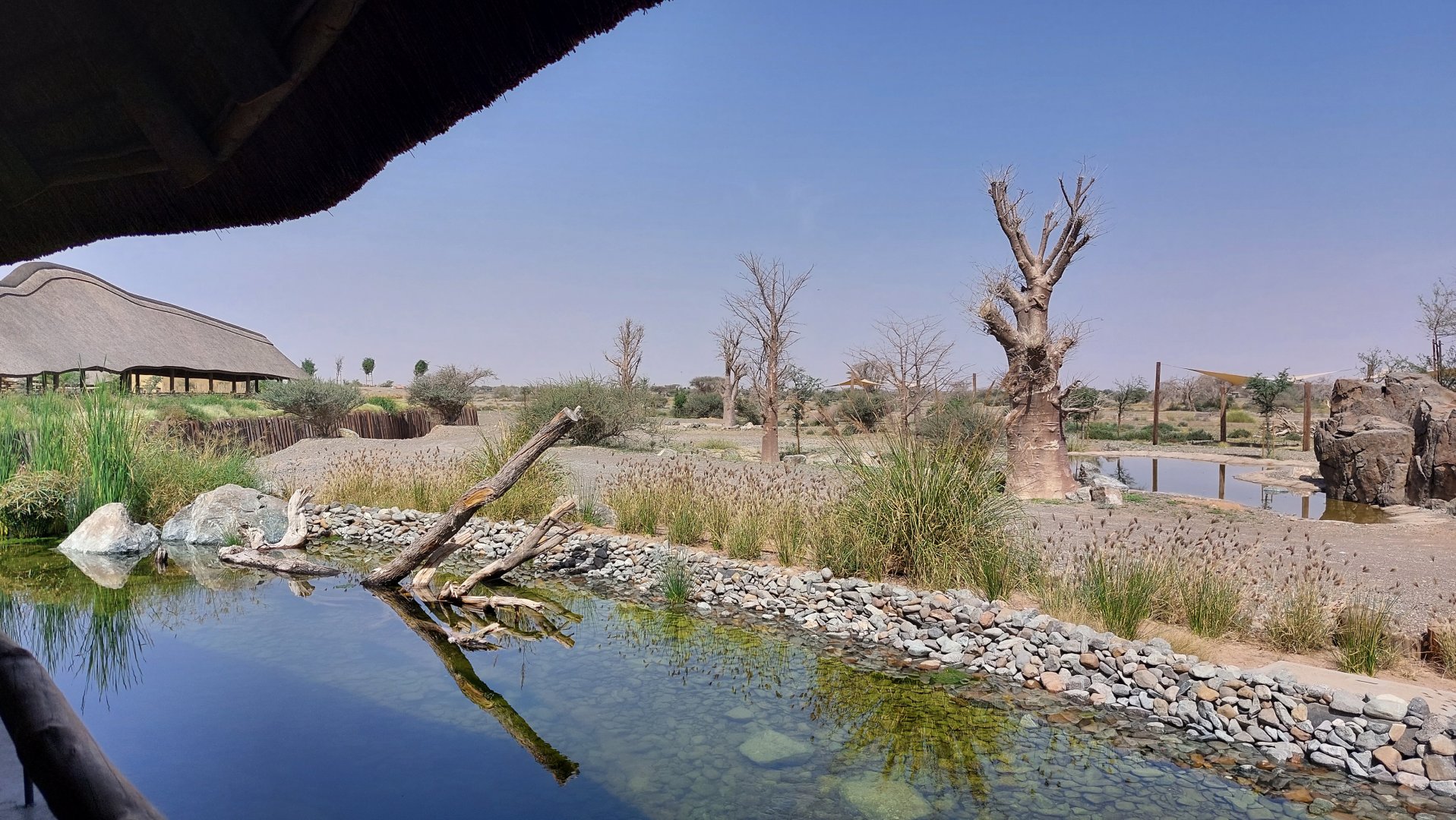View from restaurant terrace at base camp