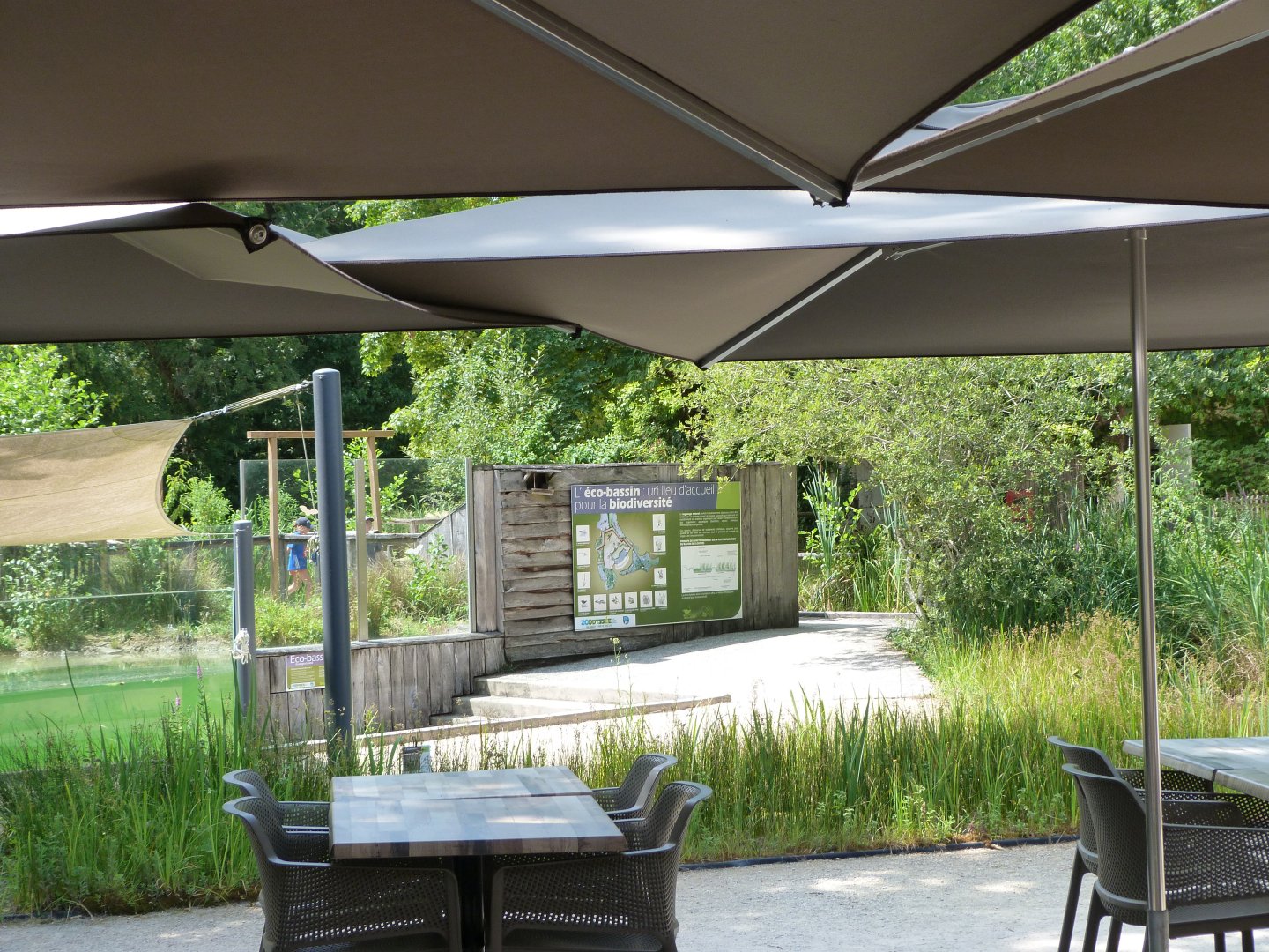 View from restaurant -Zoodyssée (2025)