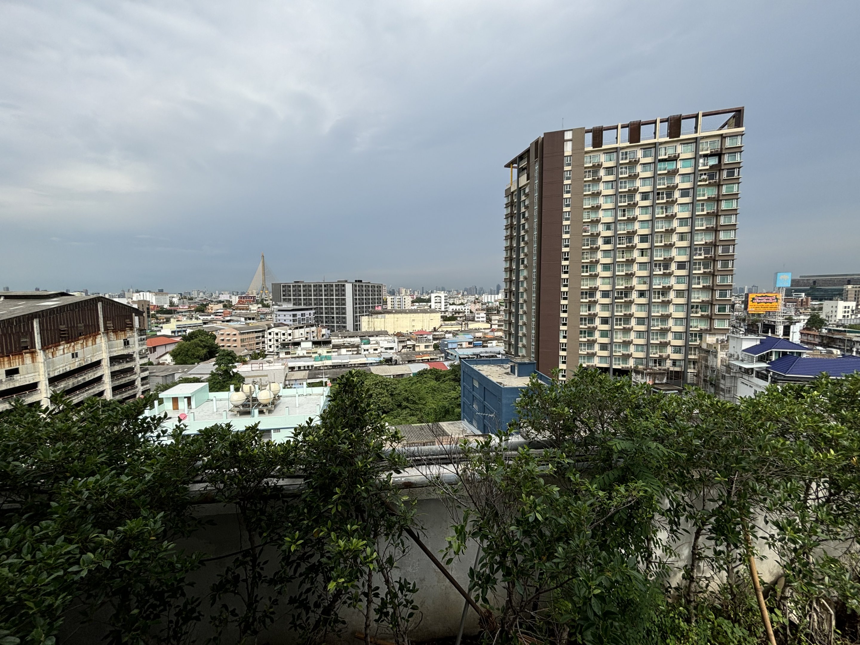 View from rooftop Pata Zoo