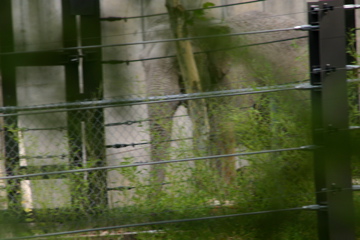 View from safari train