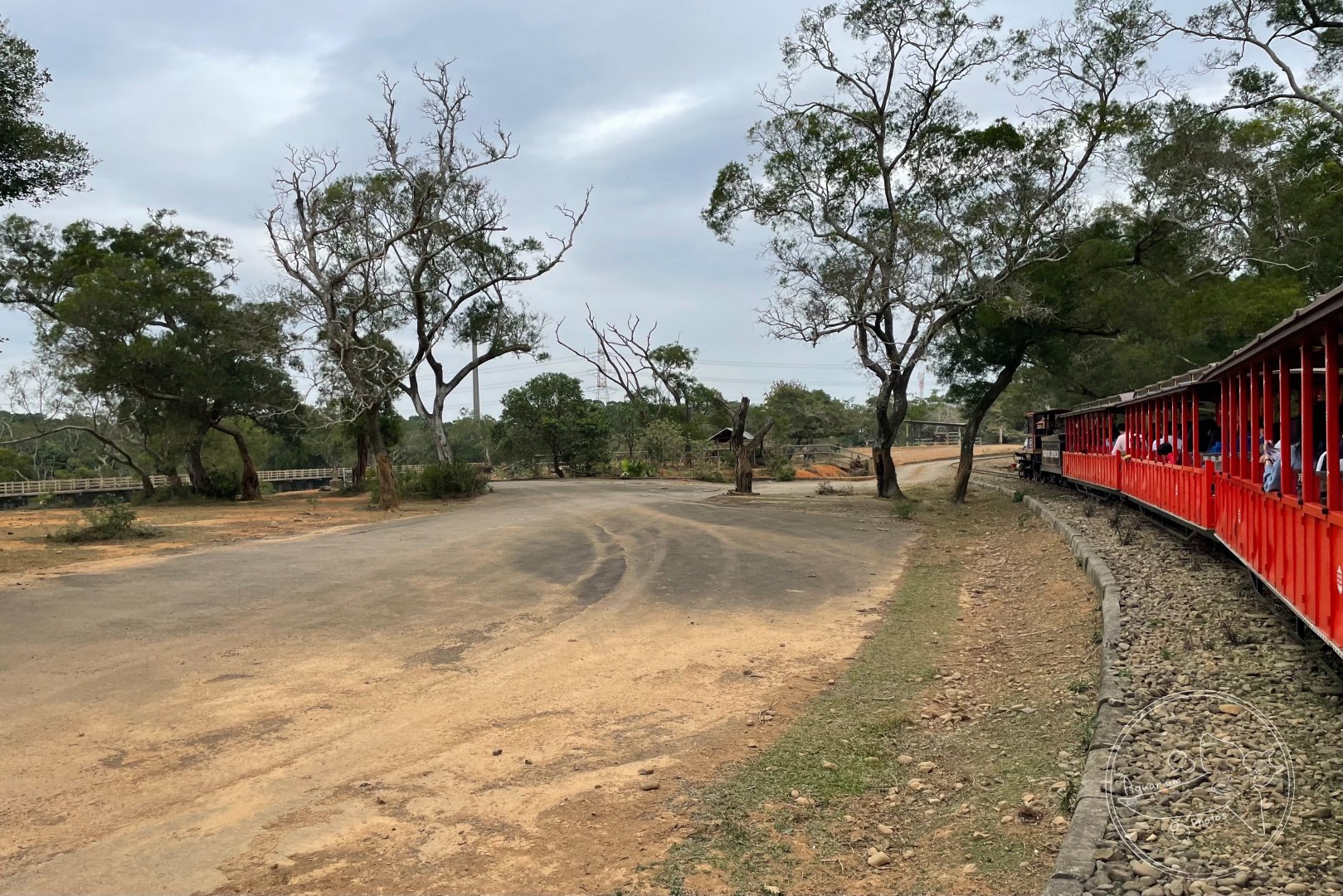 View from Safari Train