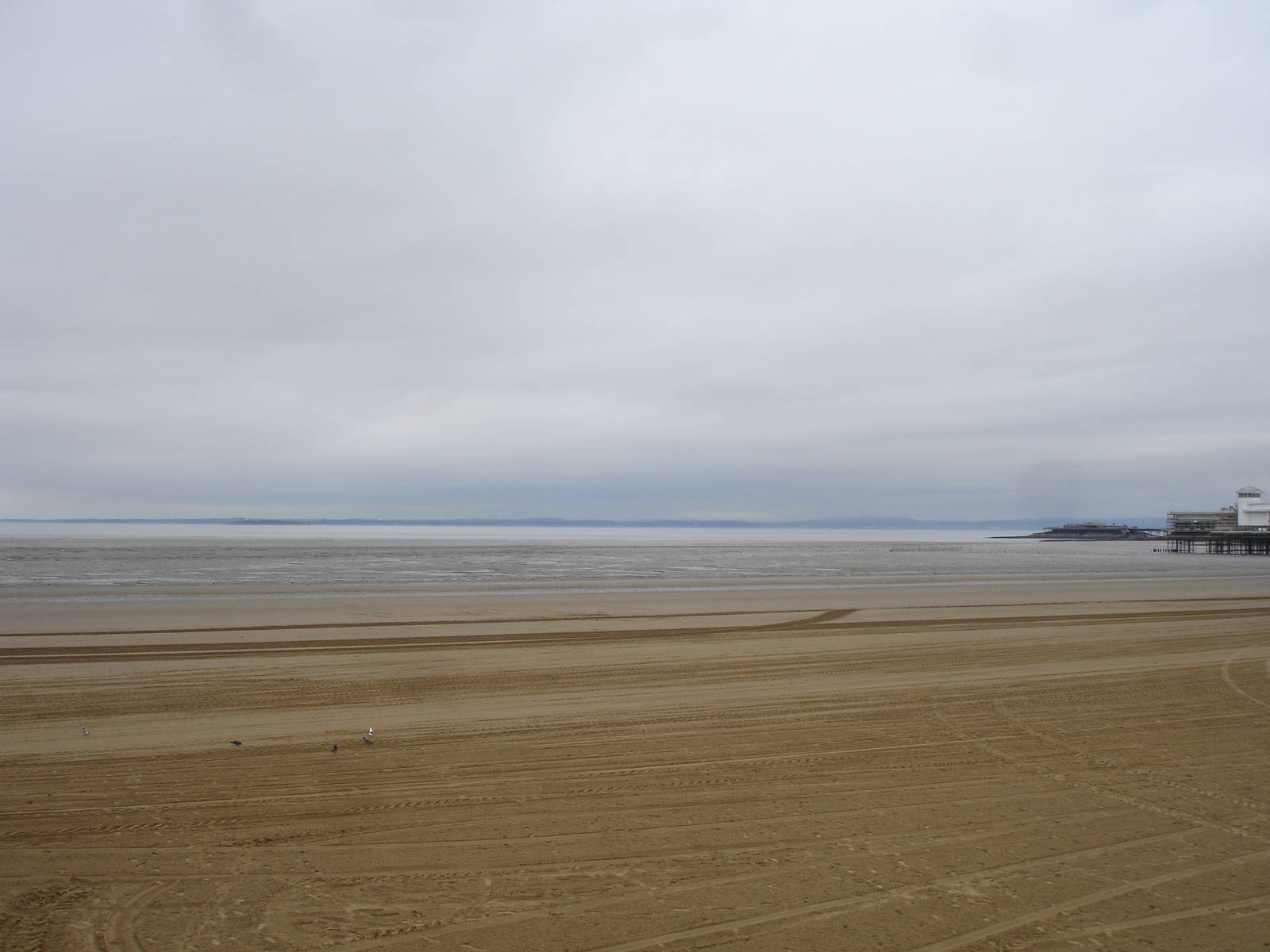 View from SeaQuarium