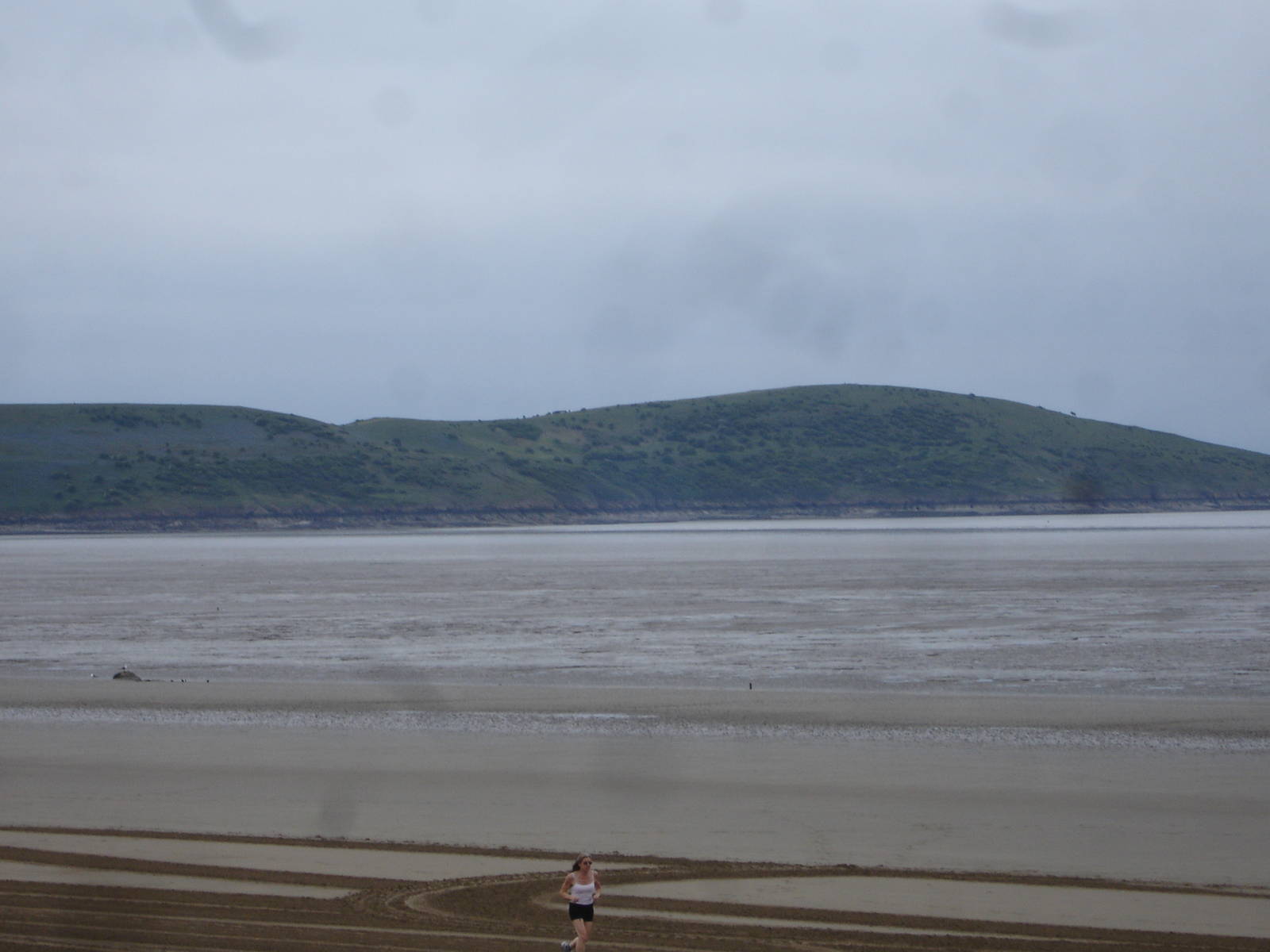 View from SeaQuarium