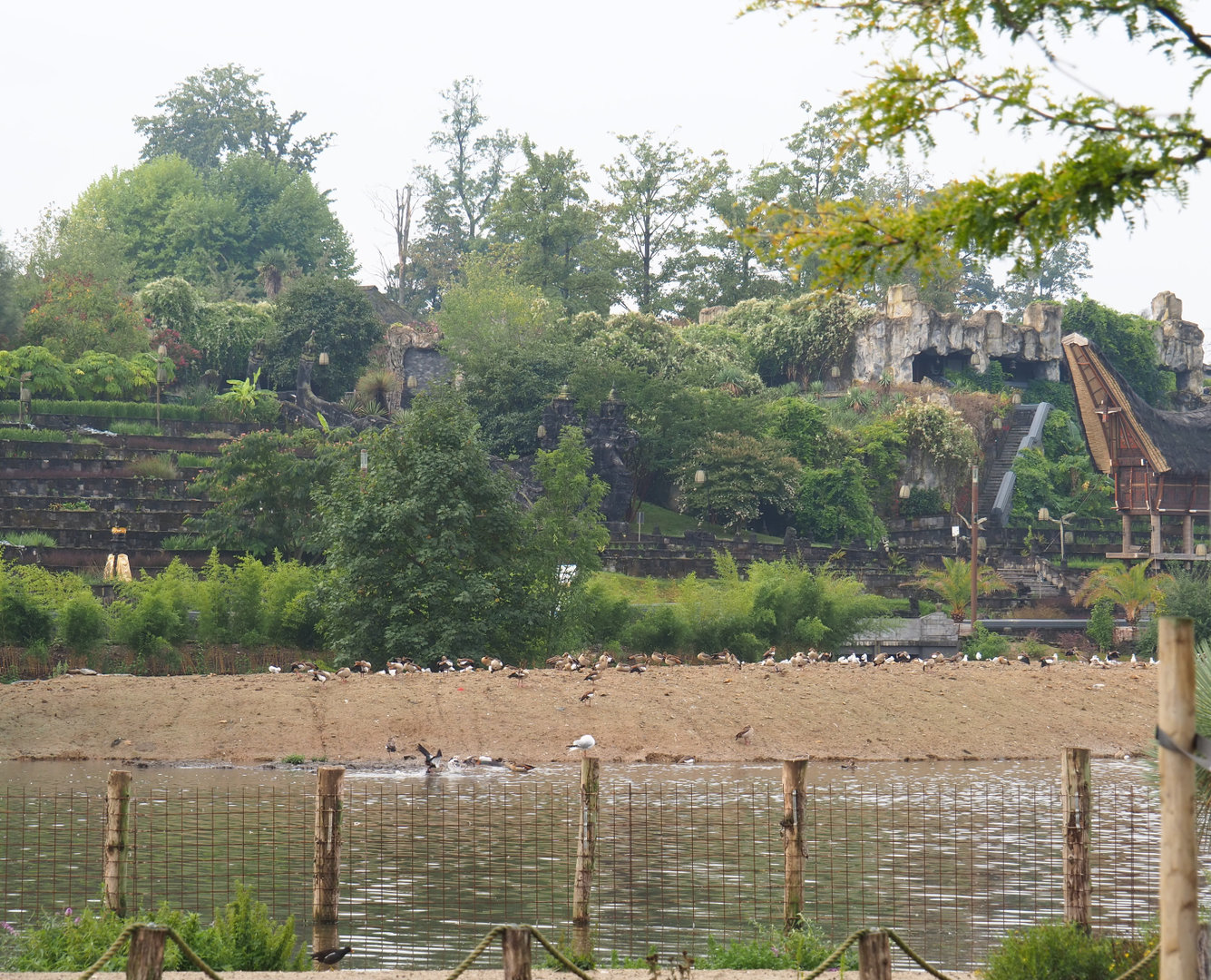 View from Southern Cape of Kingdom of Ganesha and  one of new islands covered with geese, 2022-09-15