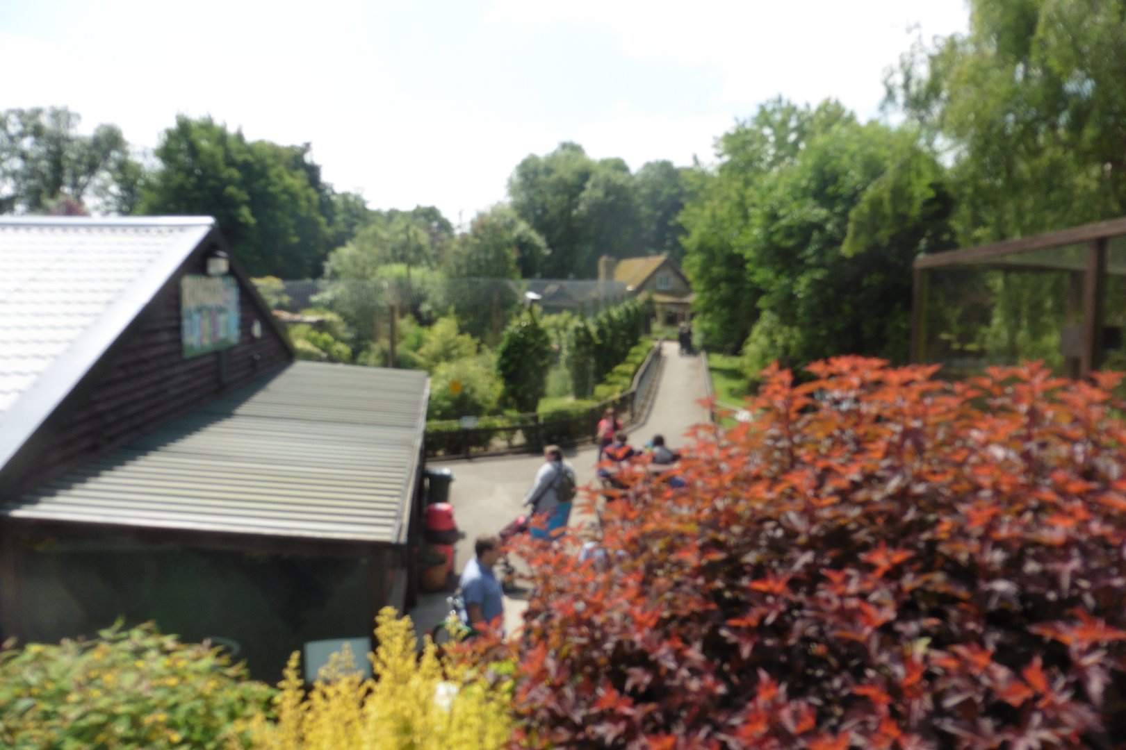 View from steps above Ibis aviary