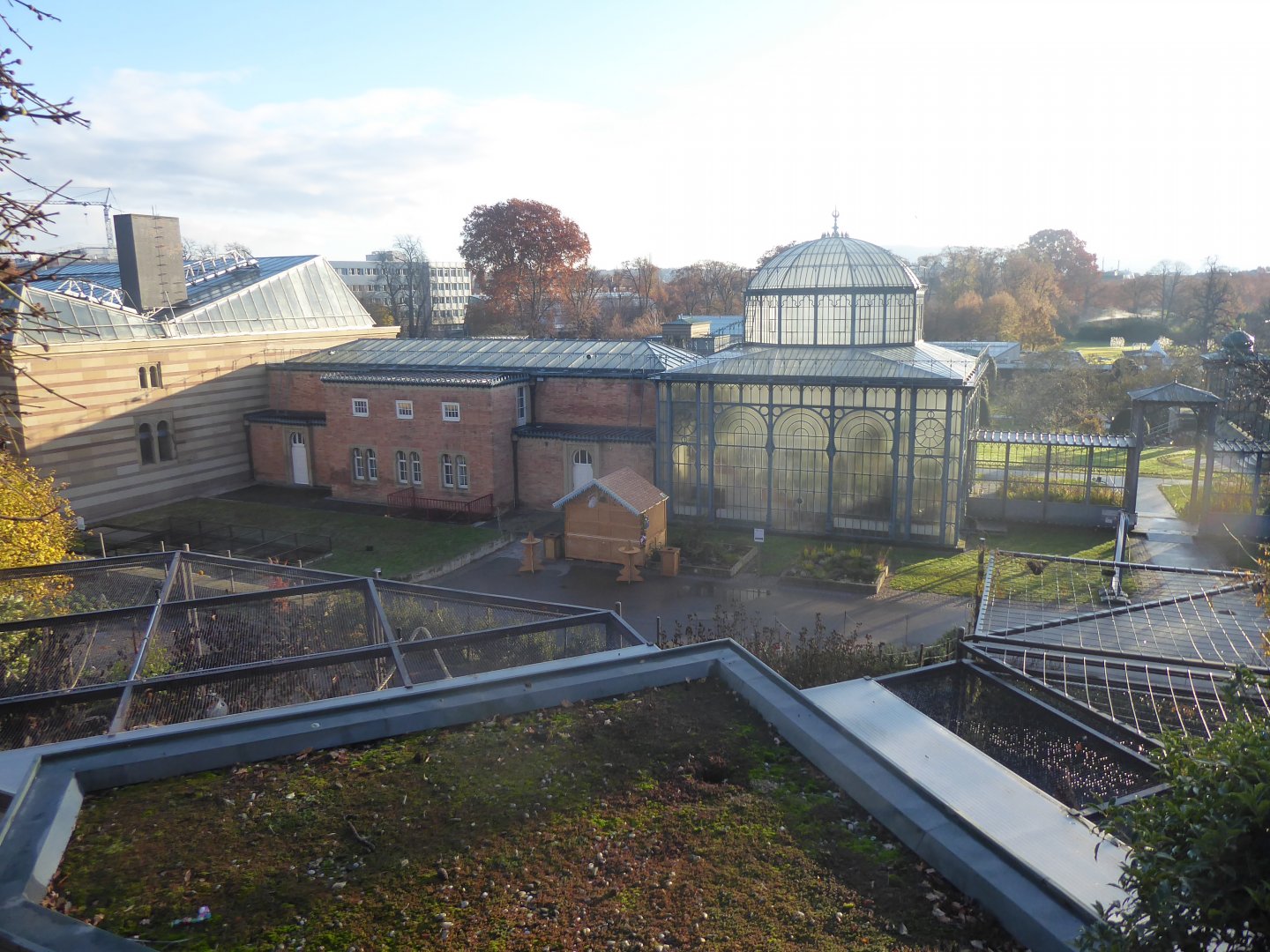 View from Subtropenterrassen 011218