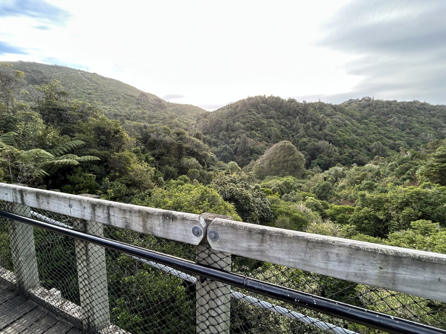 View from Suspension Bridge