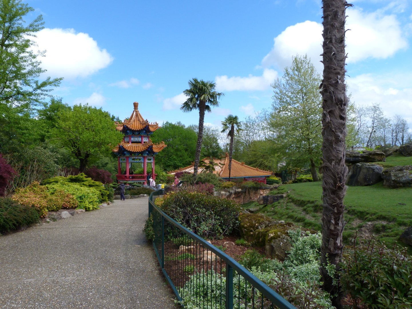 View from takin exhibit -ZooParc de Beauval (2025)