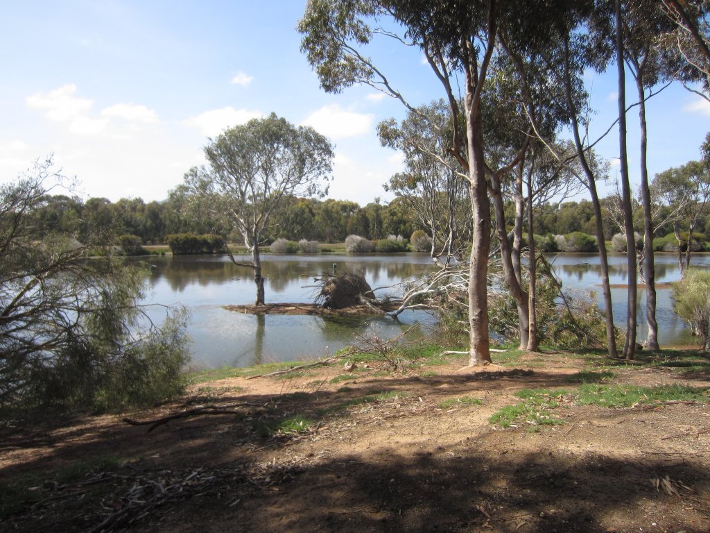View from Teatree Hide