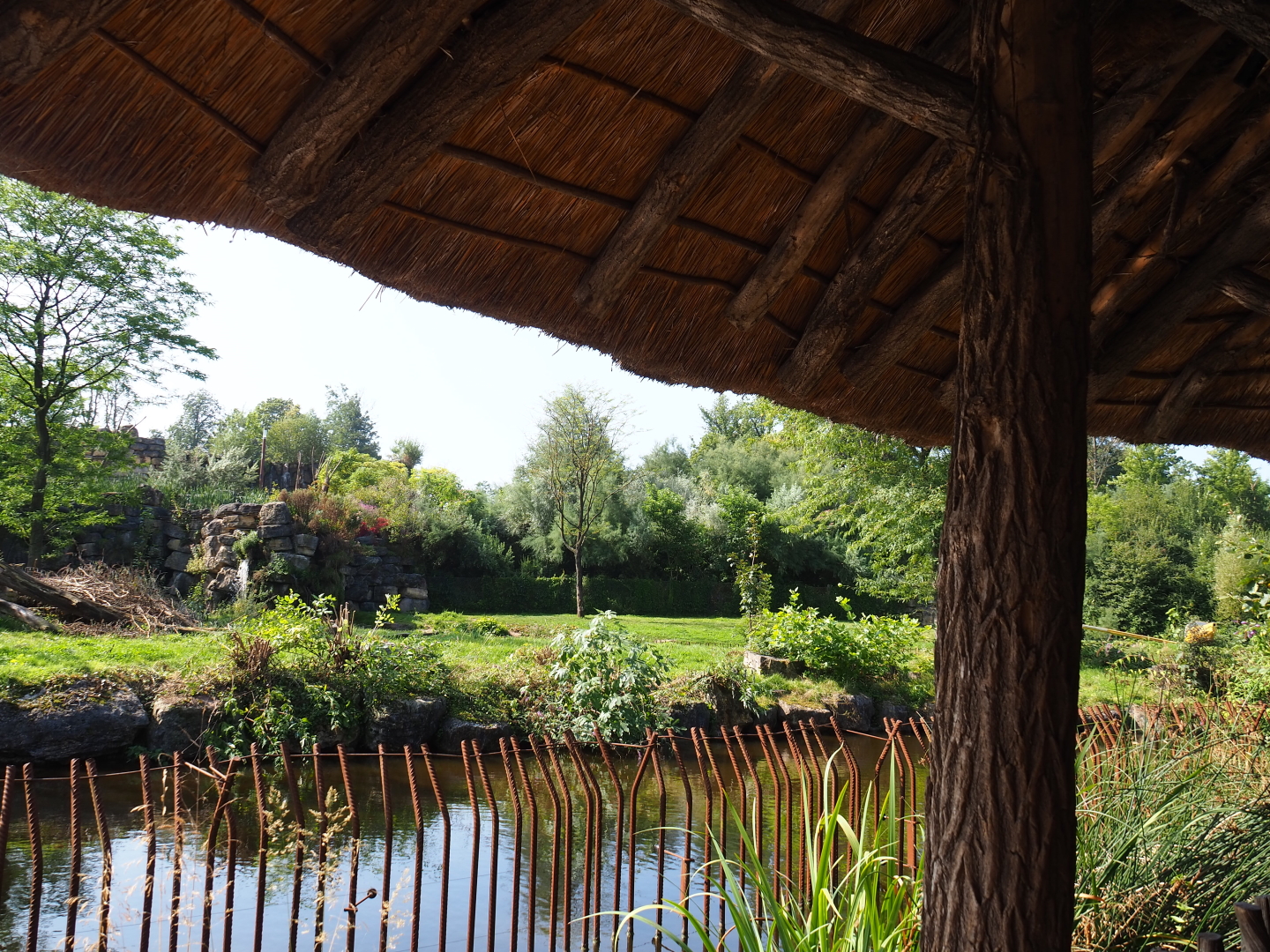 View from the African village terrace area, with parts of African lion and Spotted hyena exhibits, 2021-09-02