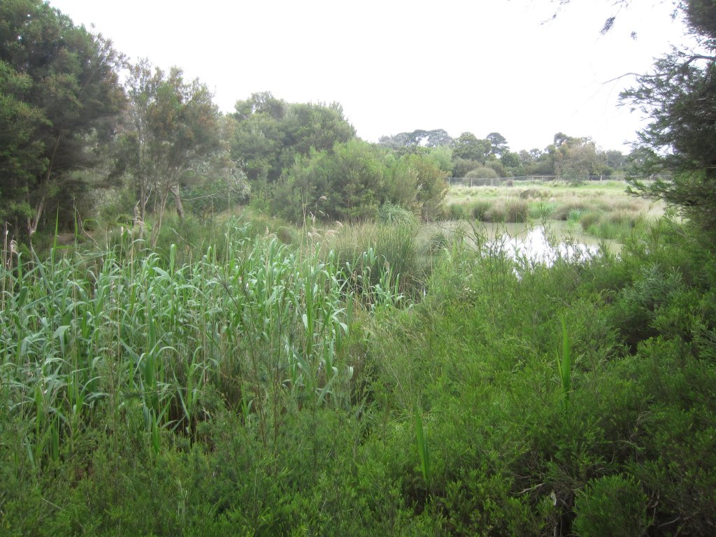View from the Bird Hide