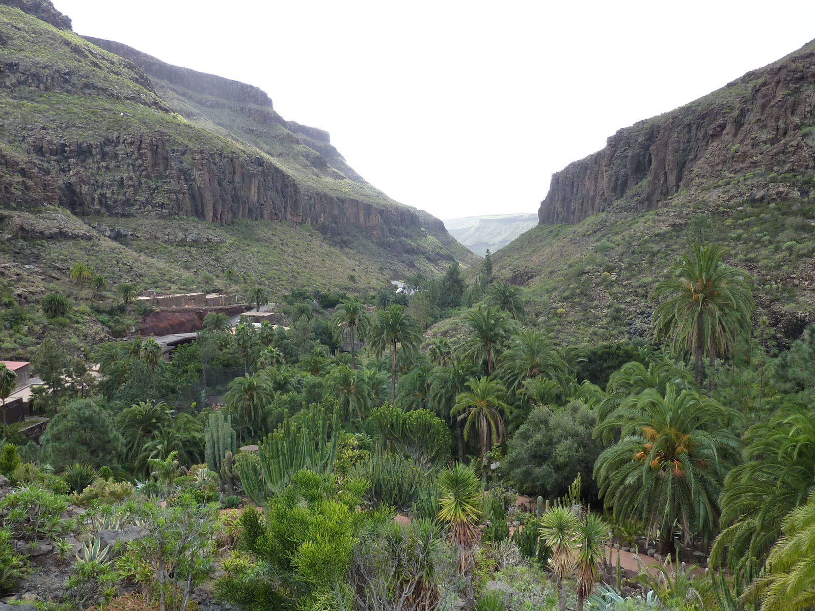 View from the Bird of prey stadium