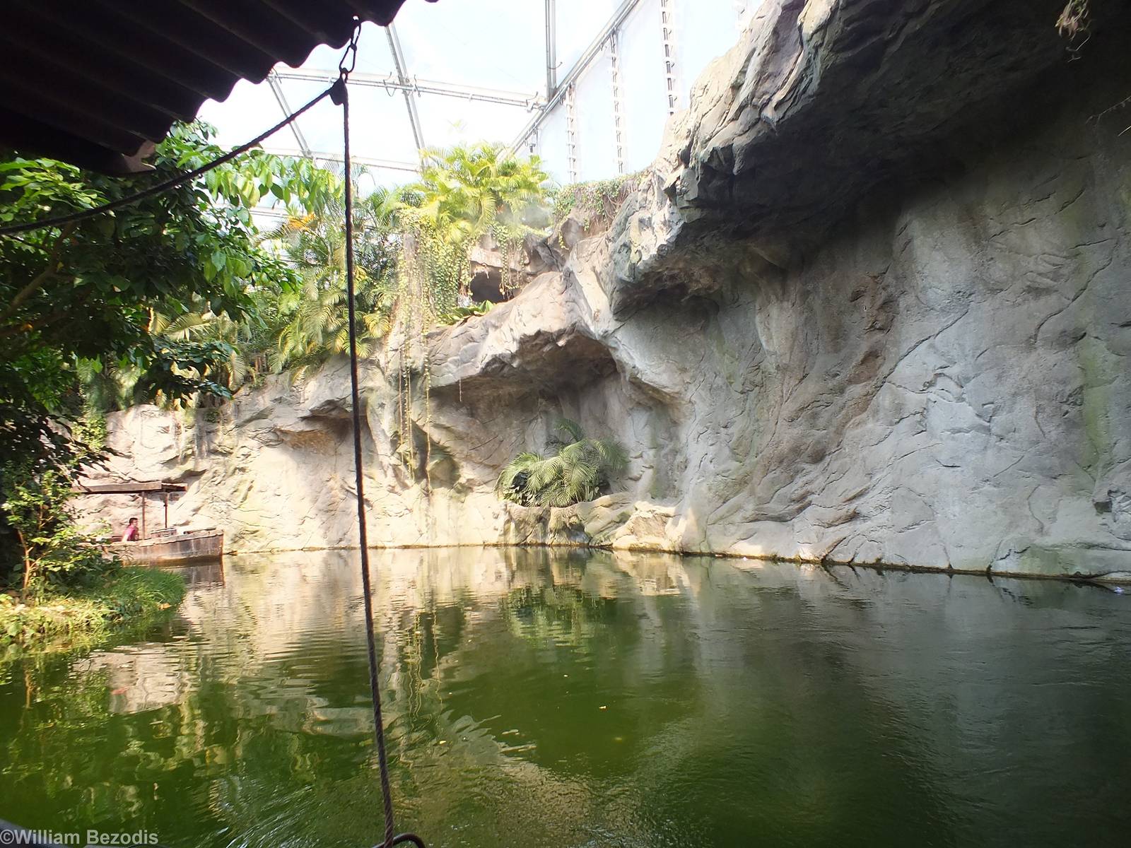 View from the Boat Ride in Gondwanaland