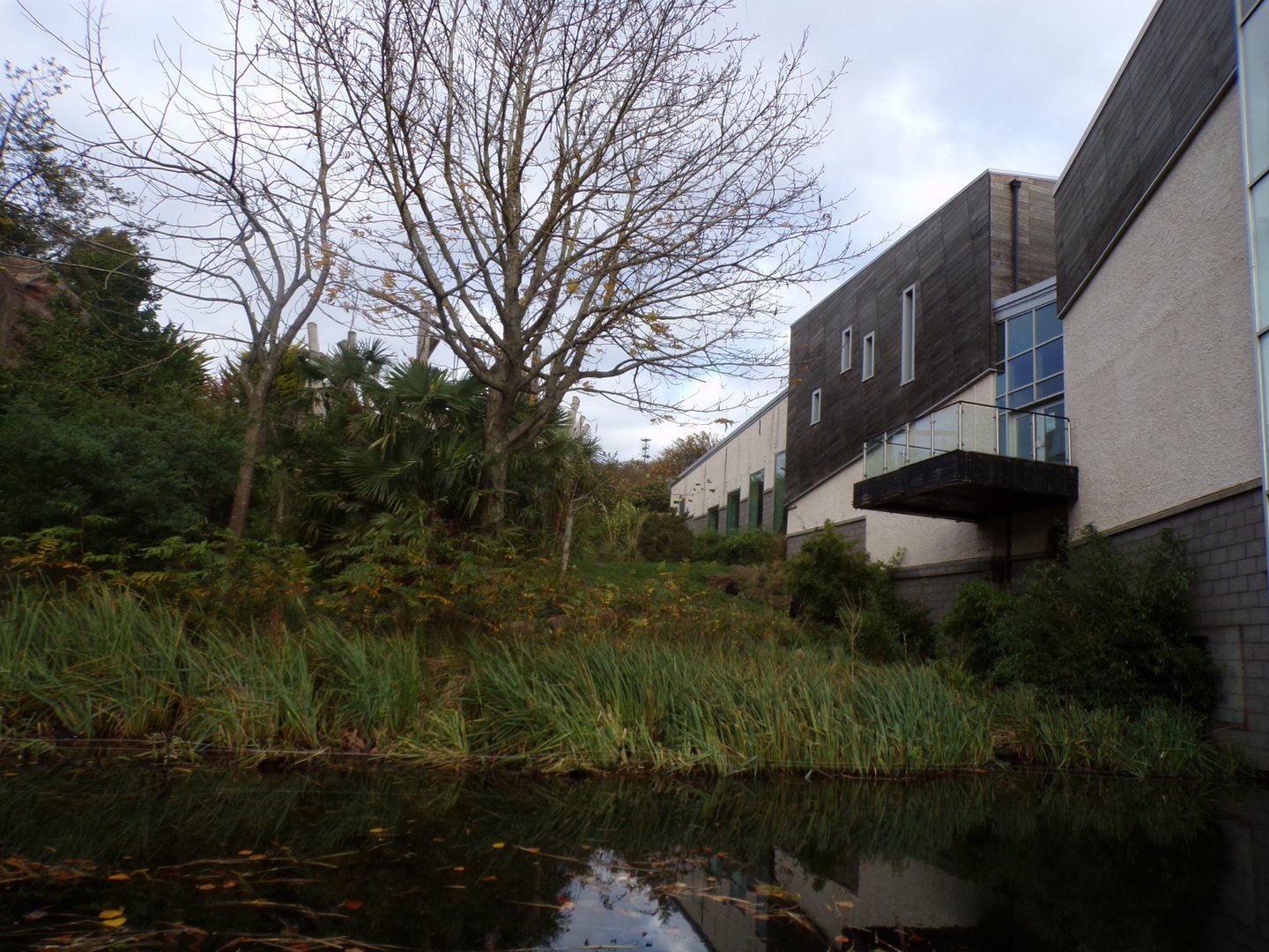 View from the bottom of Budongo trail