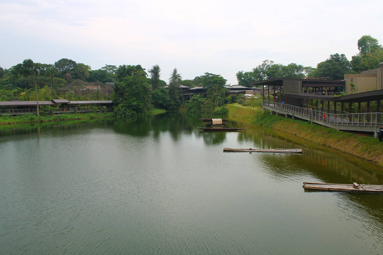 View from the bridge