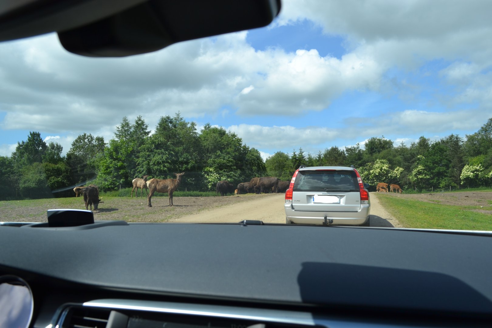 View from the car on the North American prairie