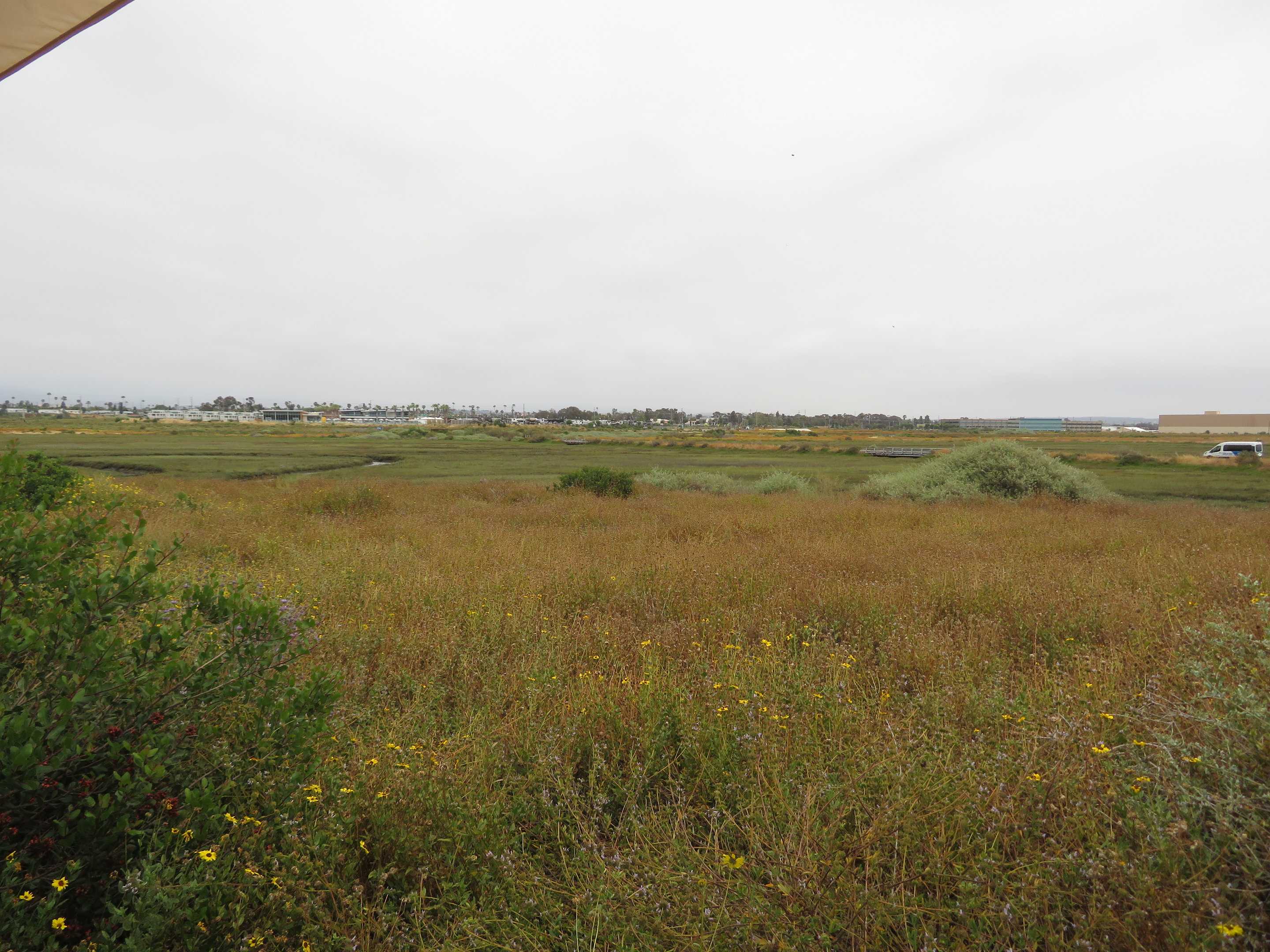 View from the Center