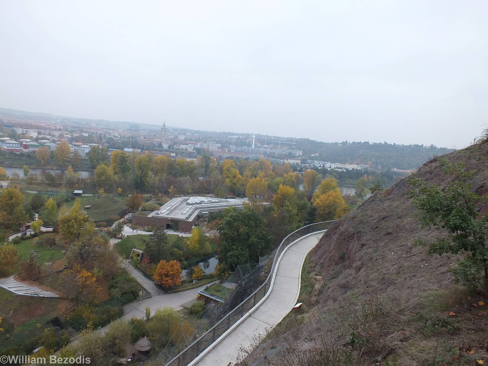 View from the Chairlift