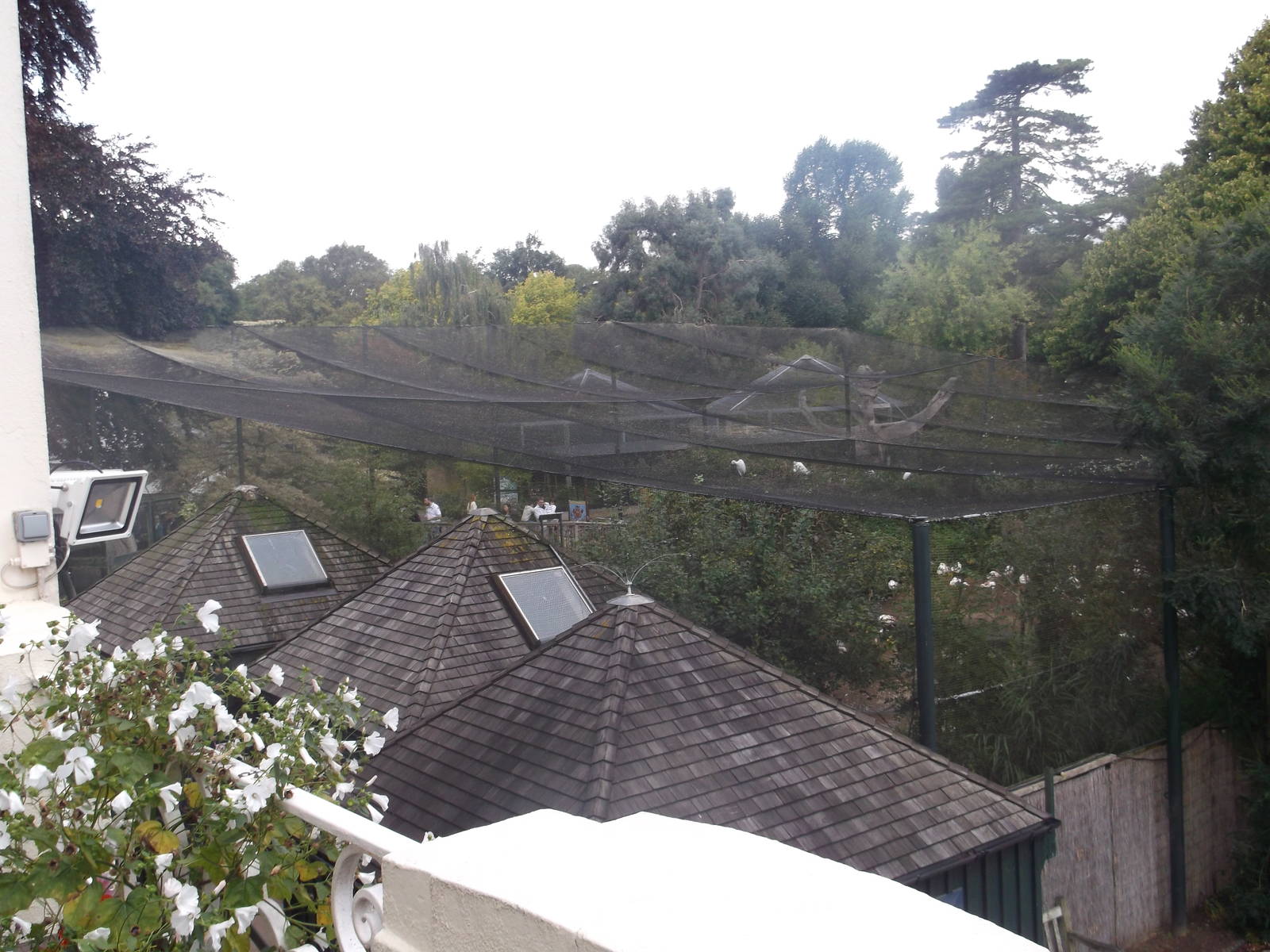 View From The Clifton Suite