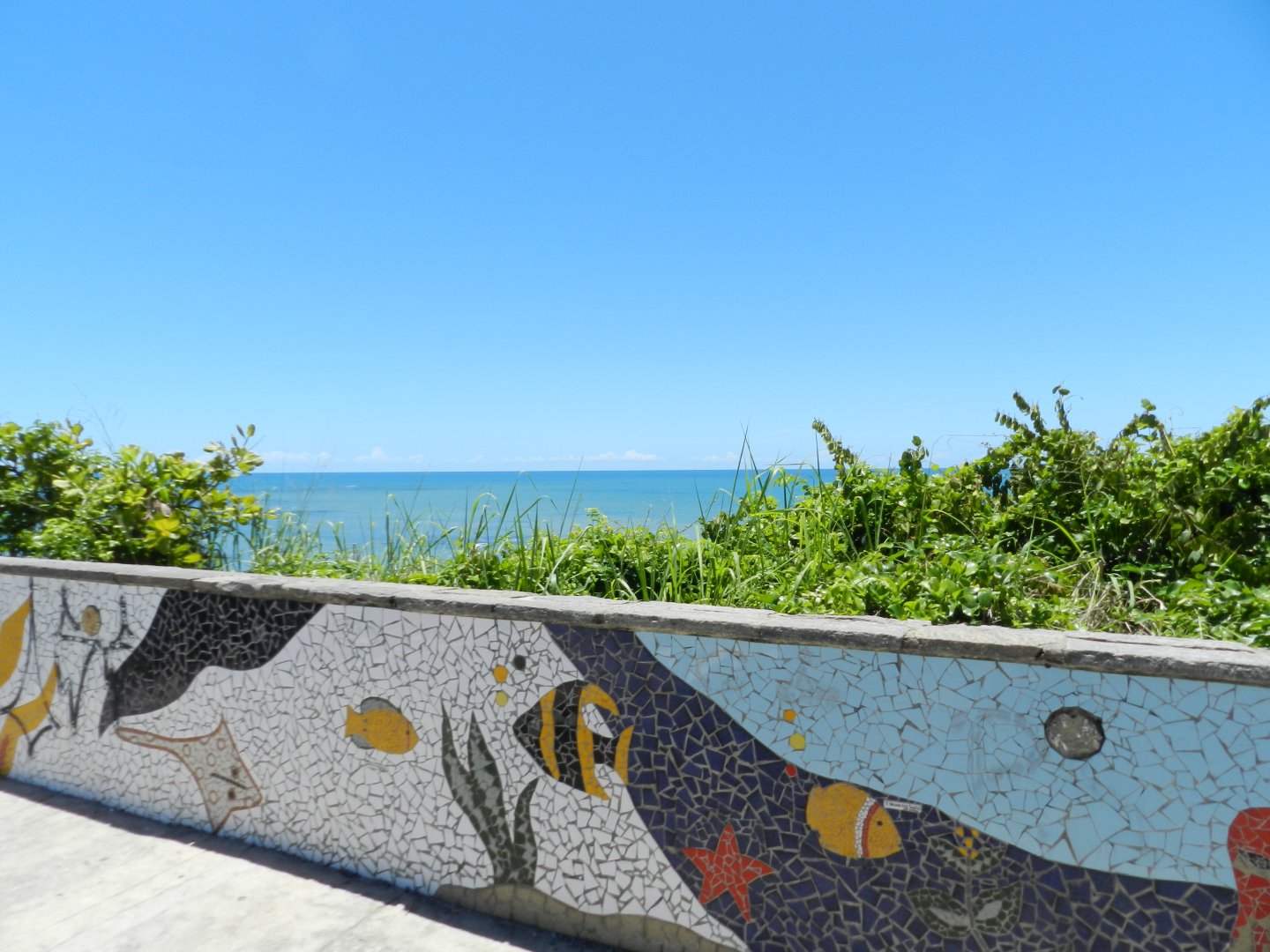 View from the easternmost point of the american continent - Bosque dos sonhos park and mini zoo (João Pessoa)