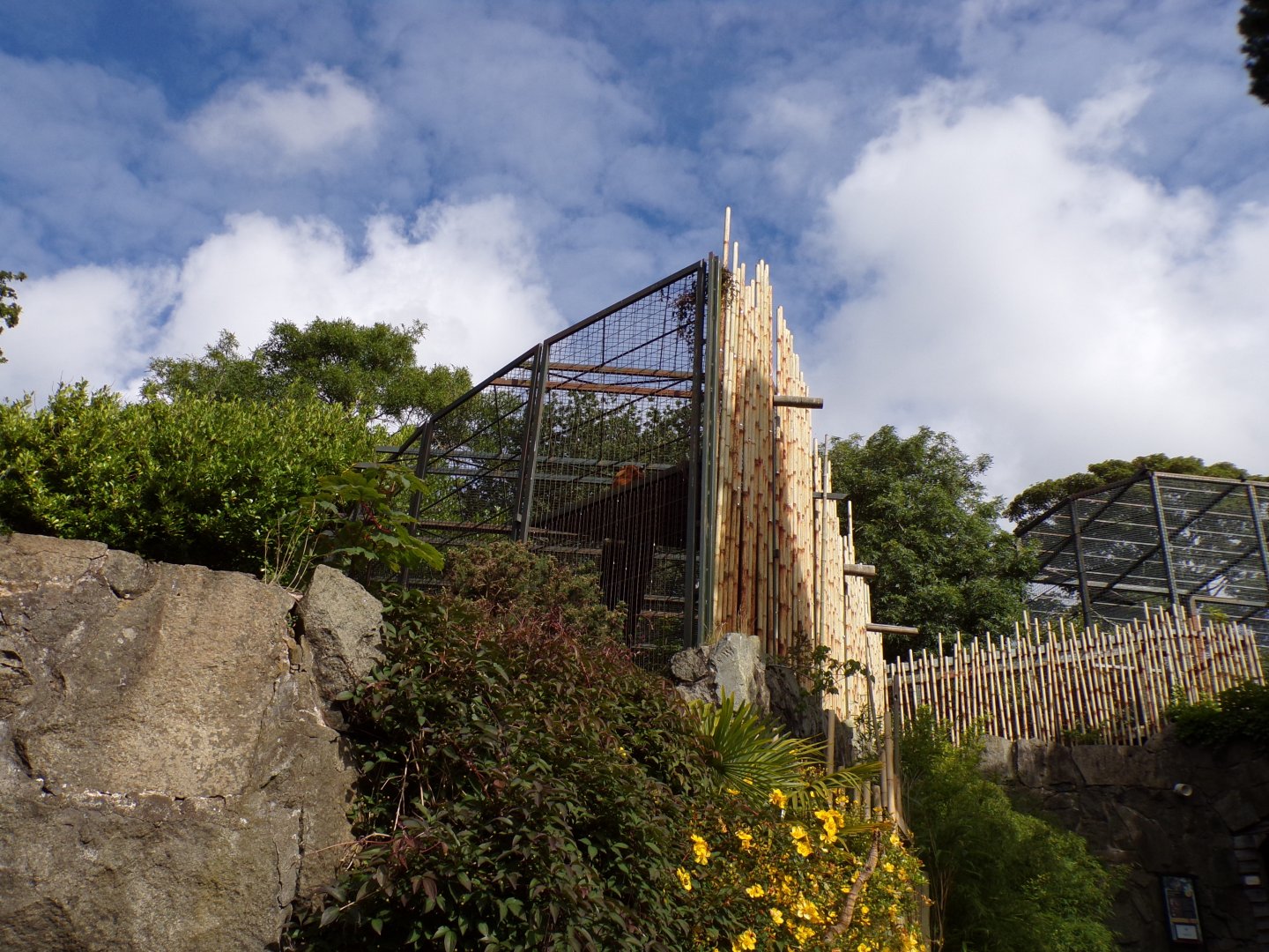 View from the end of the old sumatran tiger enclosure 19.7.23