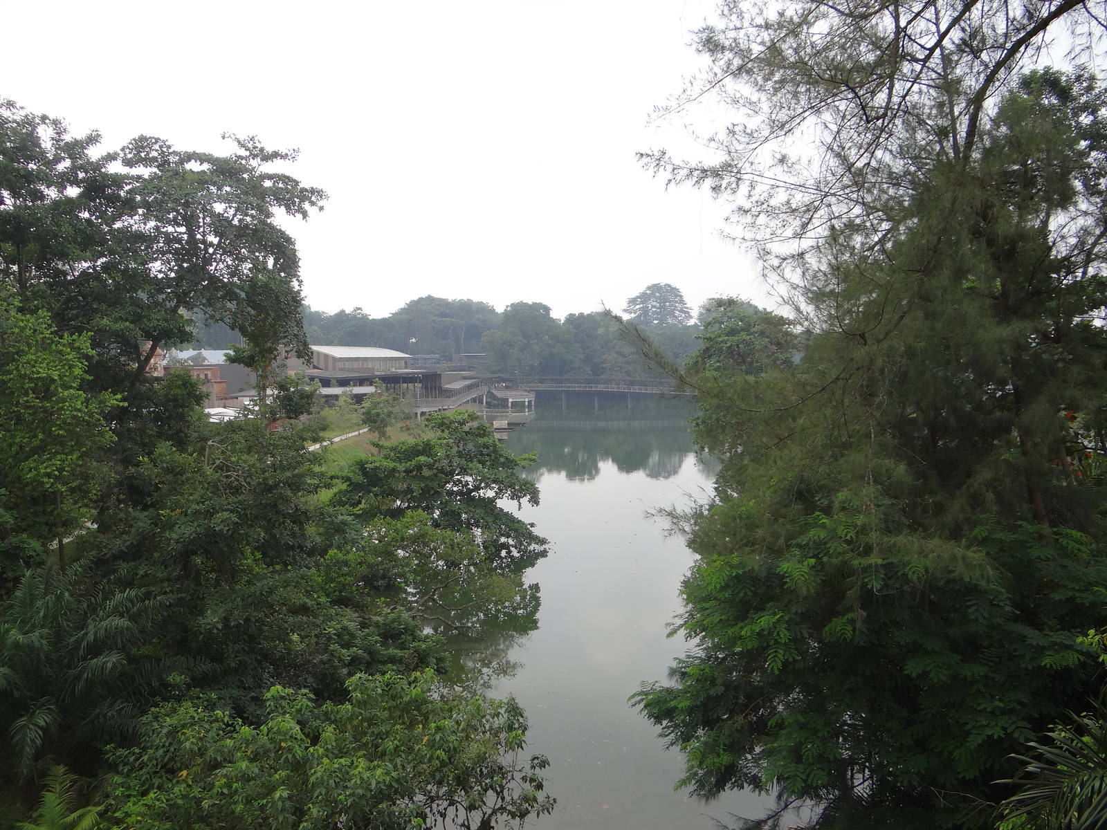 View from the end of the River Safari