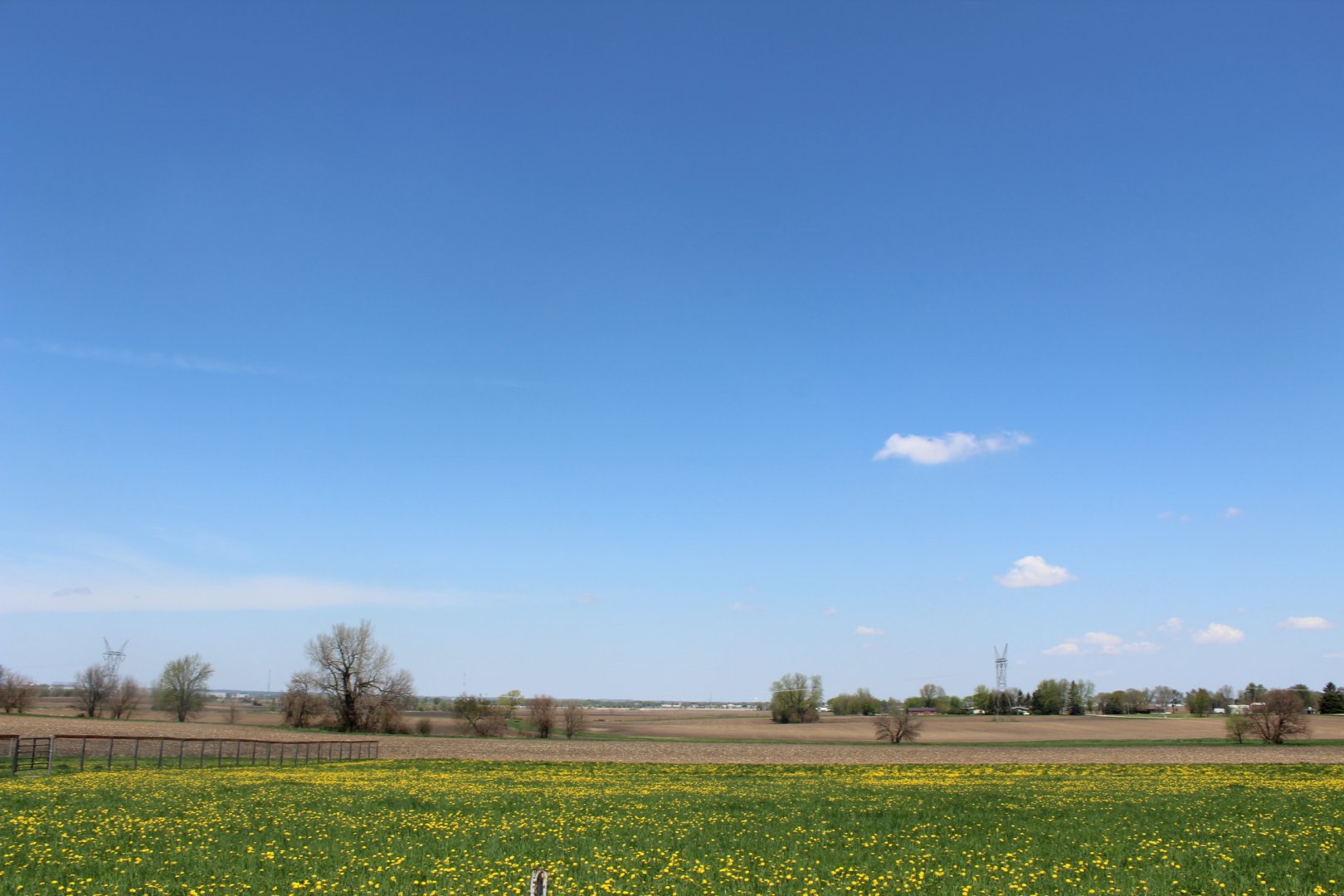 View from the Entrance