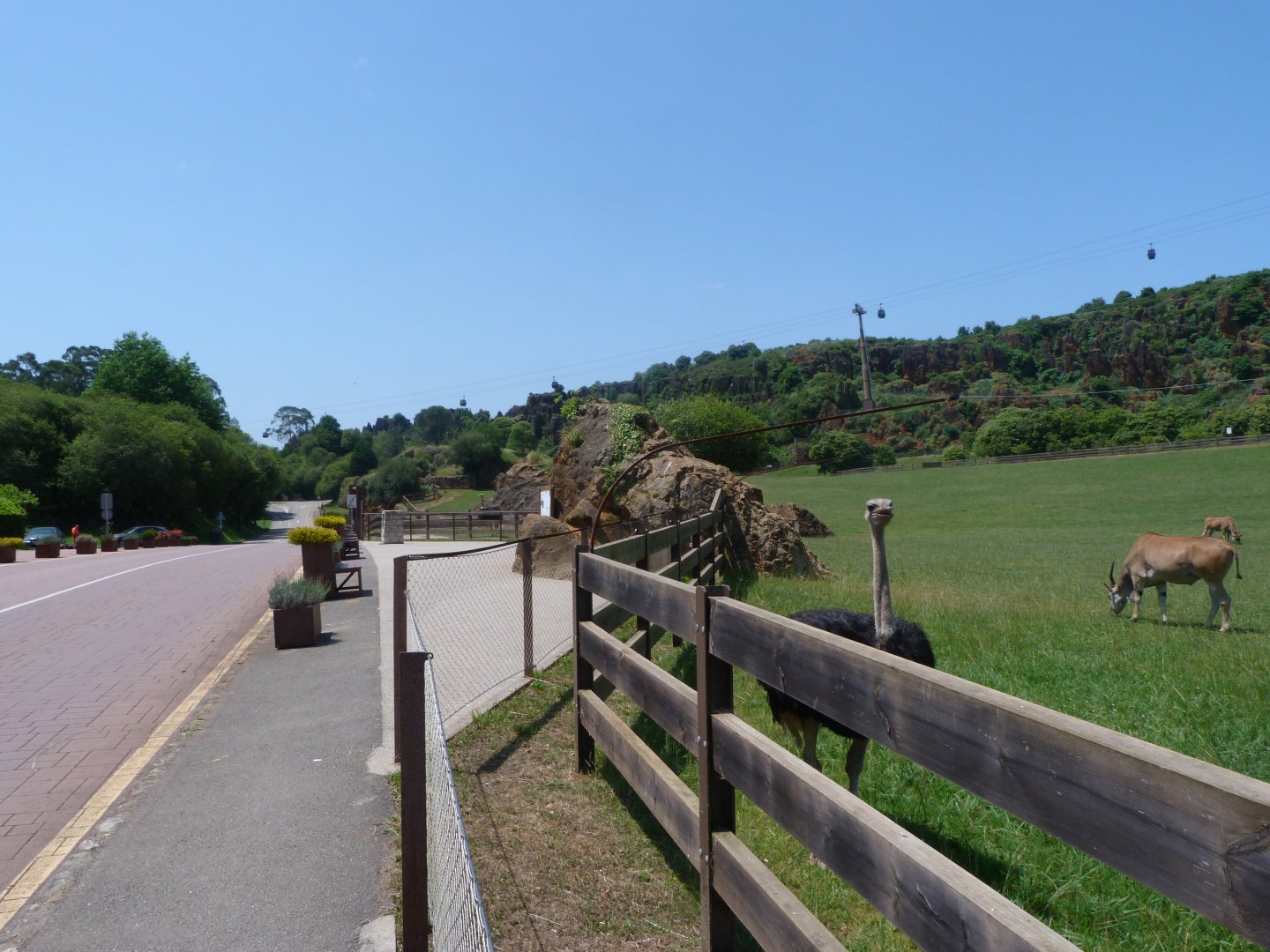 View from the "Fauna Africana" exhibit -Parque de la Naturaleza de Cabárceno (2025)