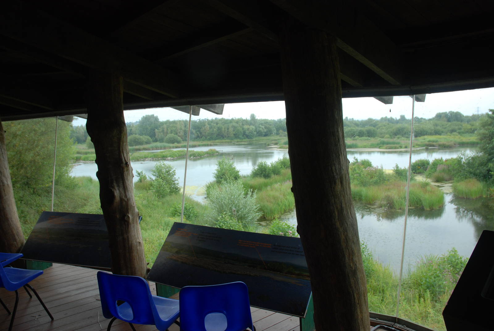 View from the Heron's Wing Hide at Llanelli WWT, 31/07/11