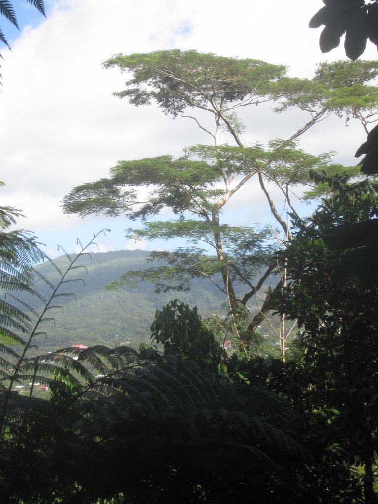 View from the Long Walk