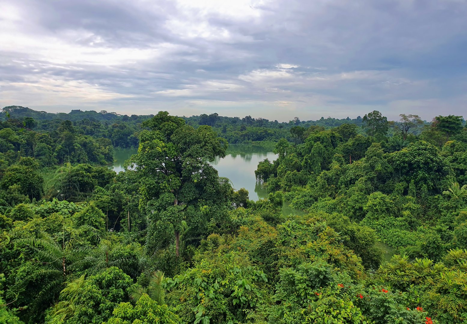 View from the multi-storey car park