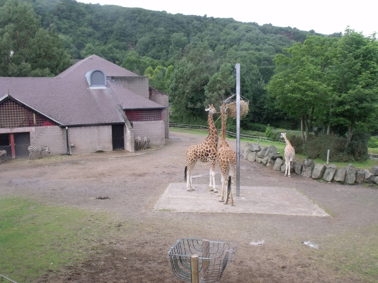 View from the new viewing platform