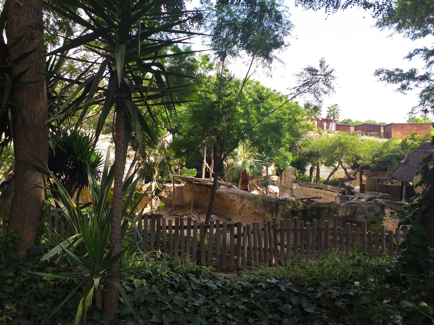 View from the peccary exhibit -TerraNatura Benidorm (2021)