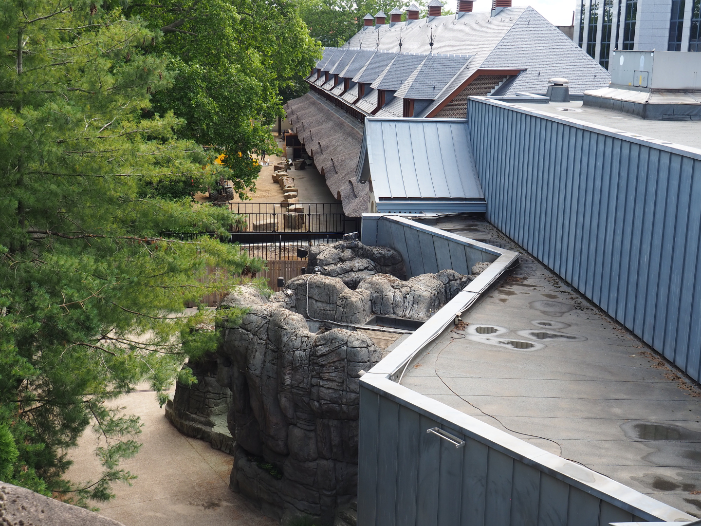 View from the porch of the Reptile house towards Vriesland and the Bovine house, 2020-06-28