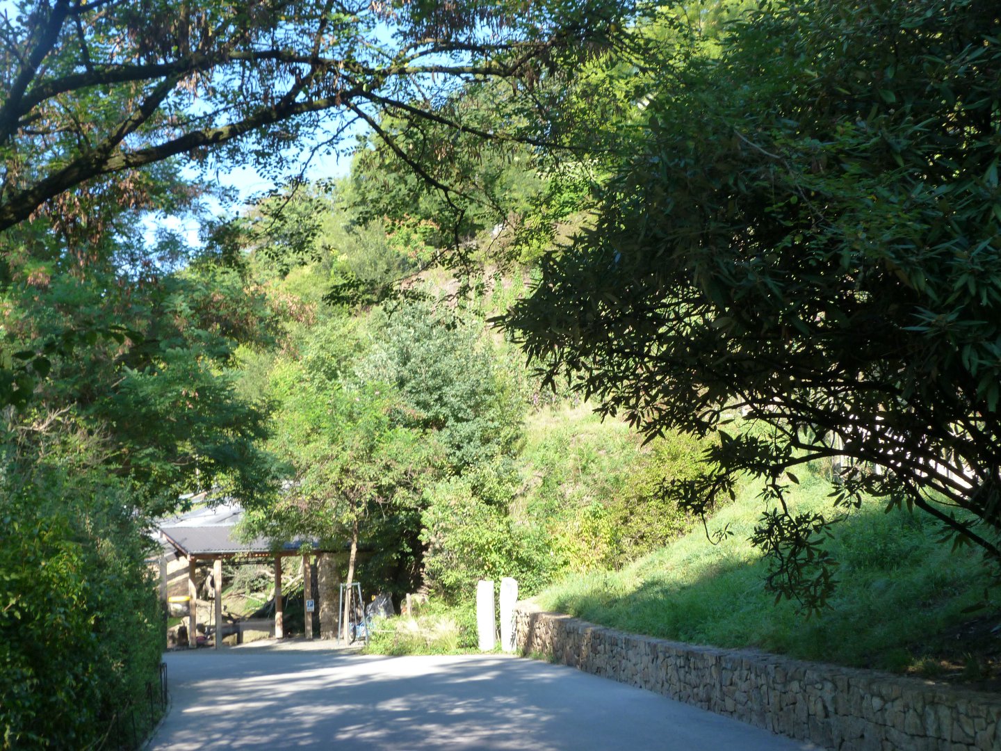 View from the red panda exhibit thorwards Rakos' House -Zoo Praha (2025)