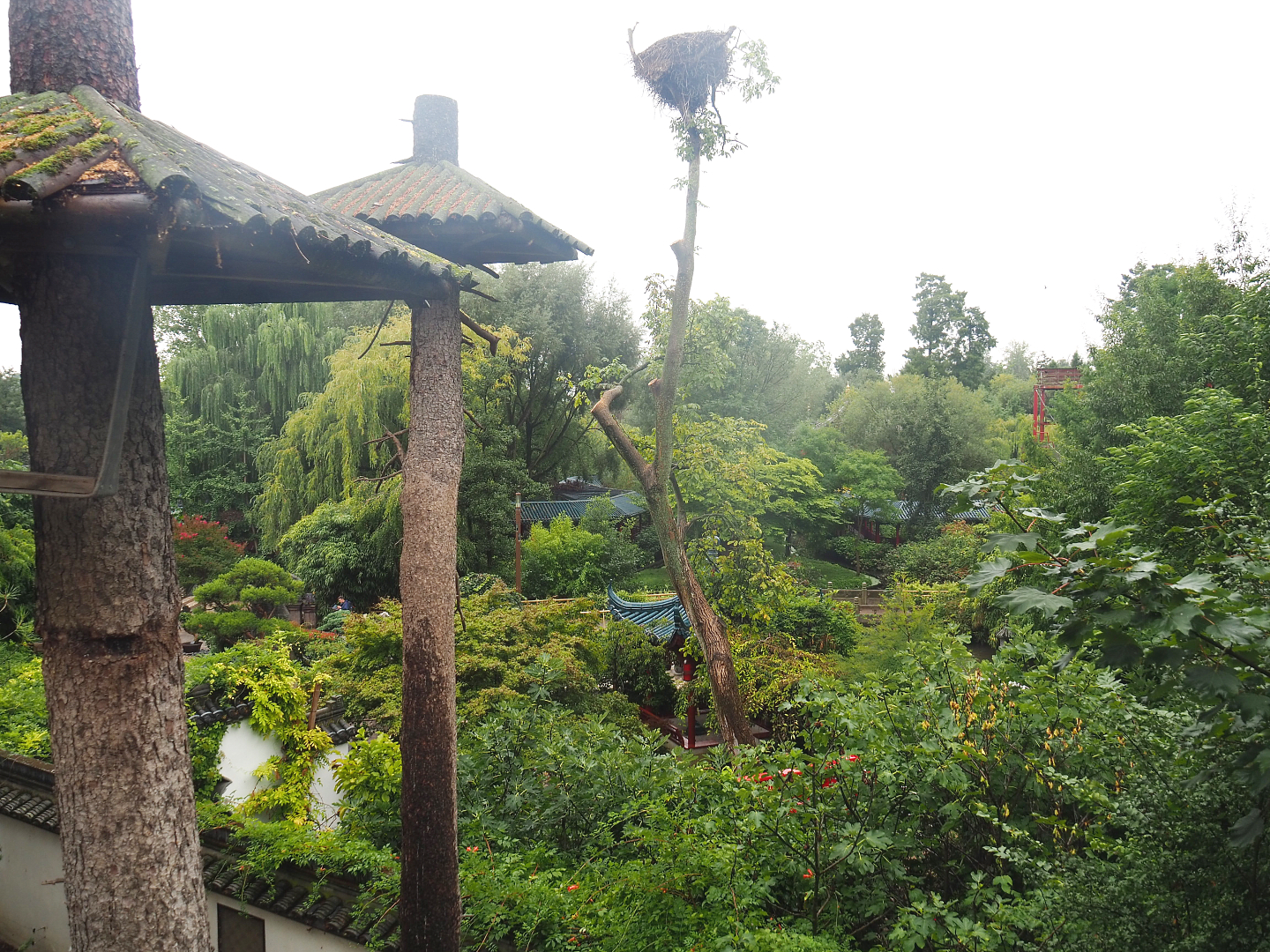 View from the red panda viewing area down to the lower section of The Middle Kingdom, 2022-09-14
