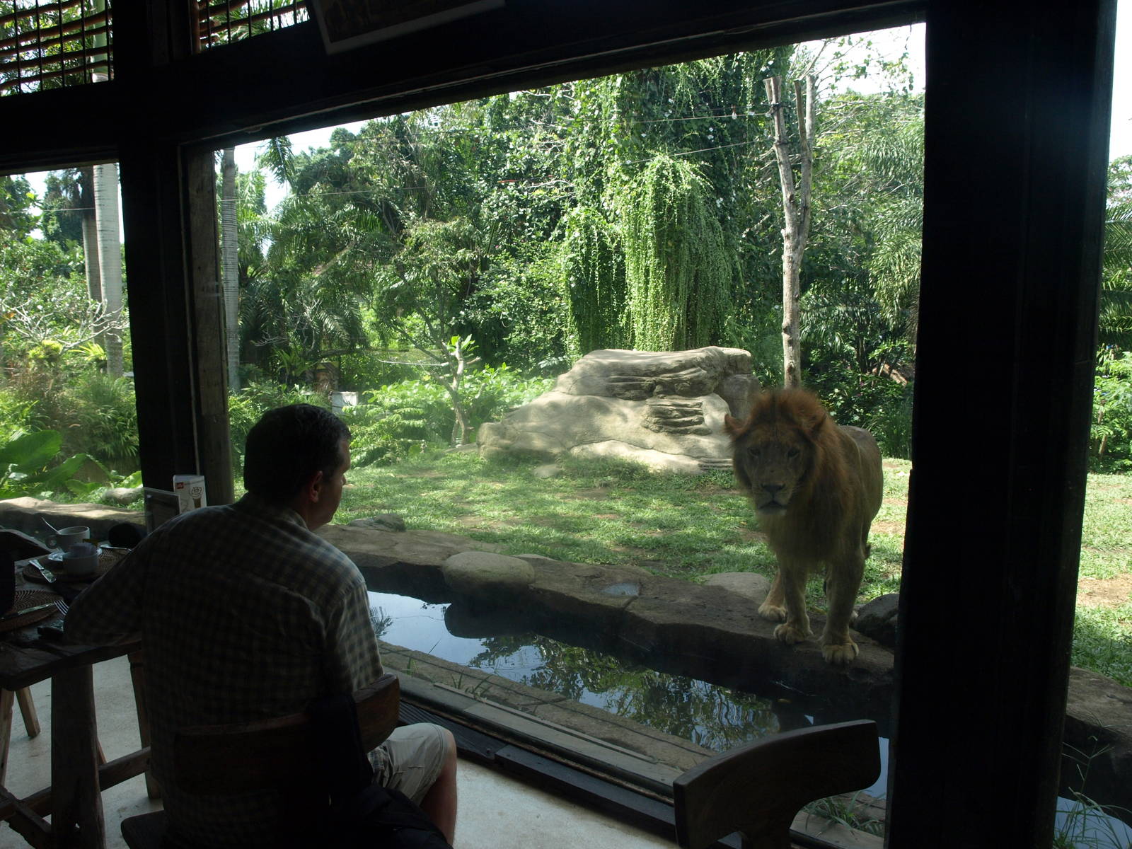 View from the restaurant