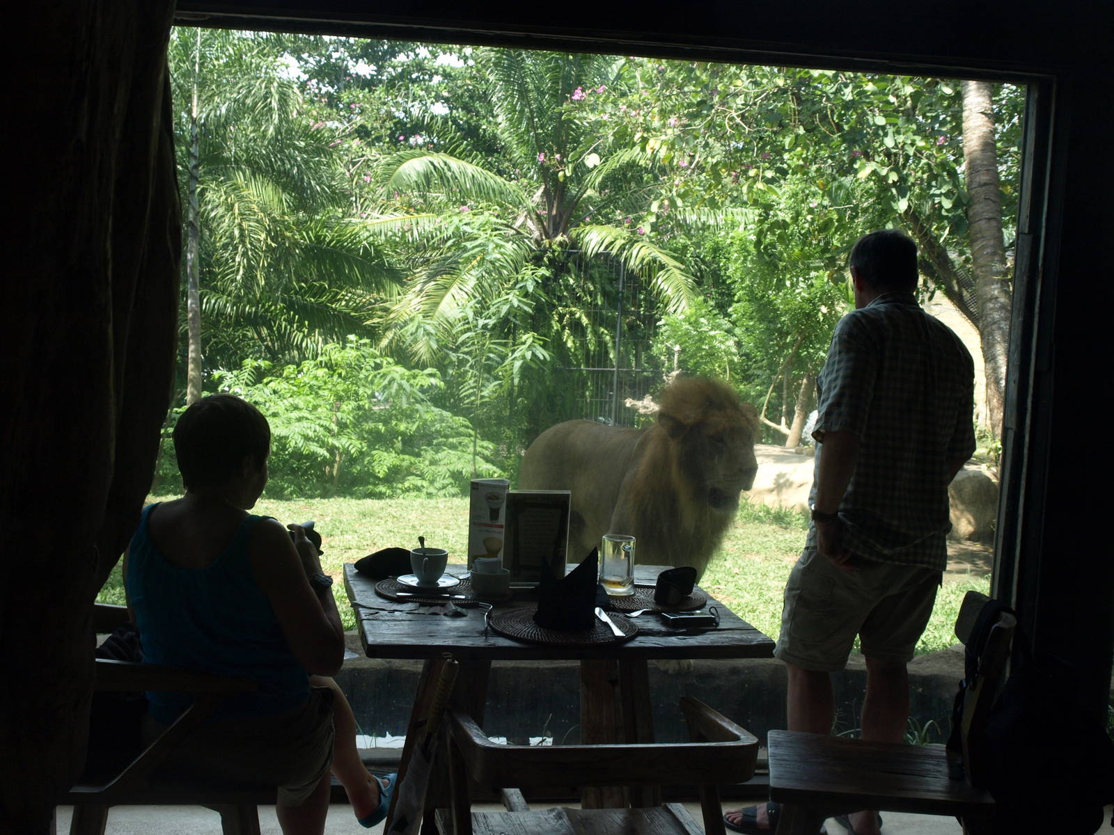 View from the restaurant