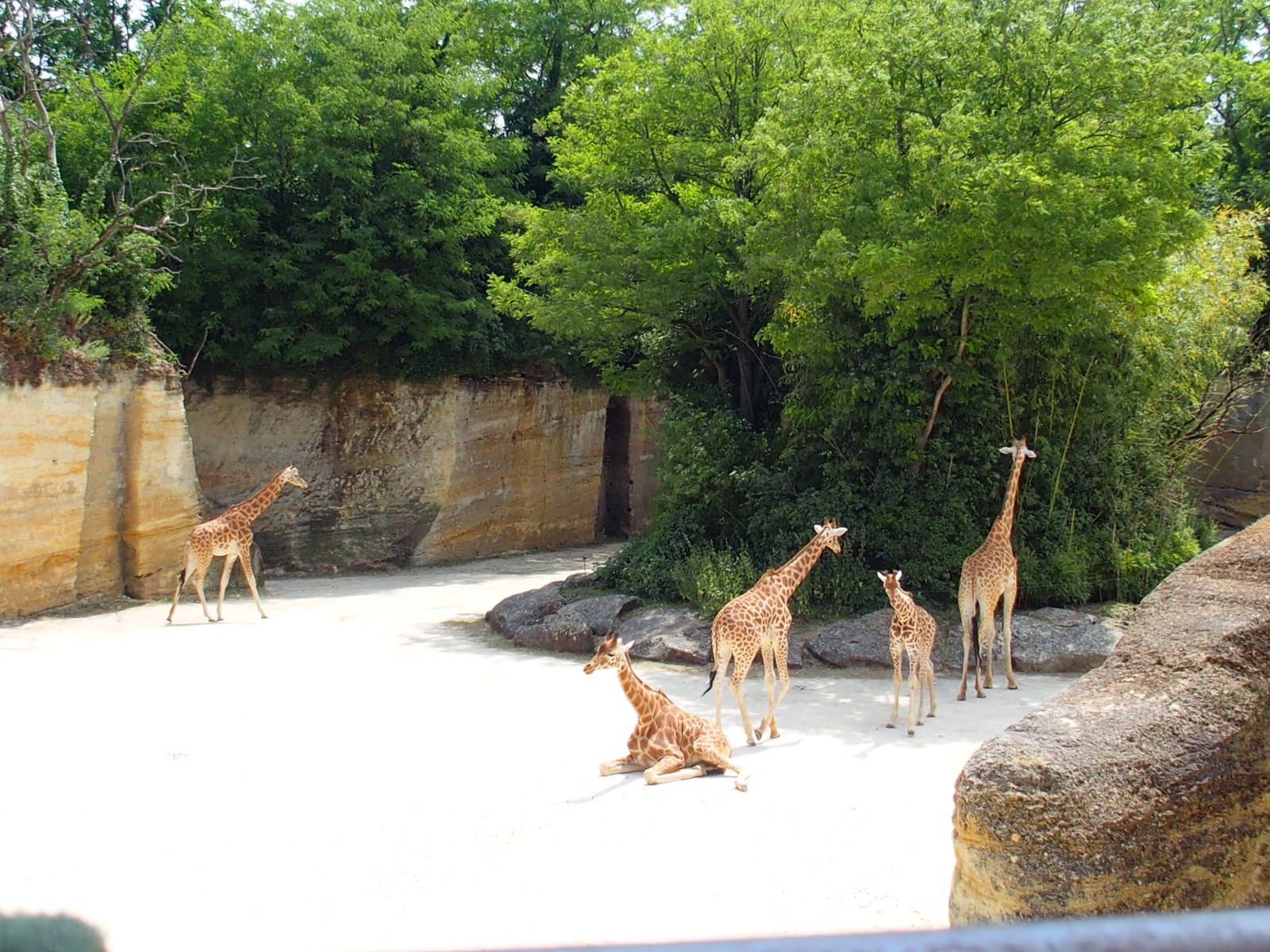 view from the restaurant