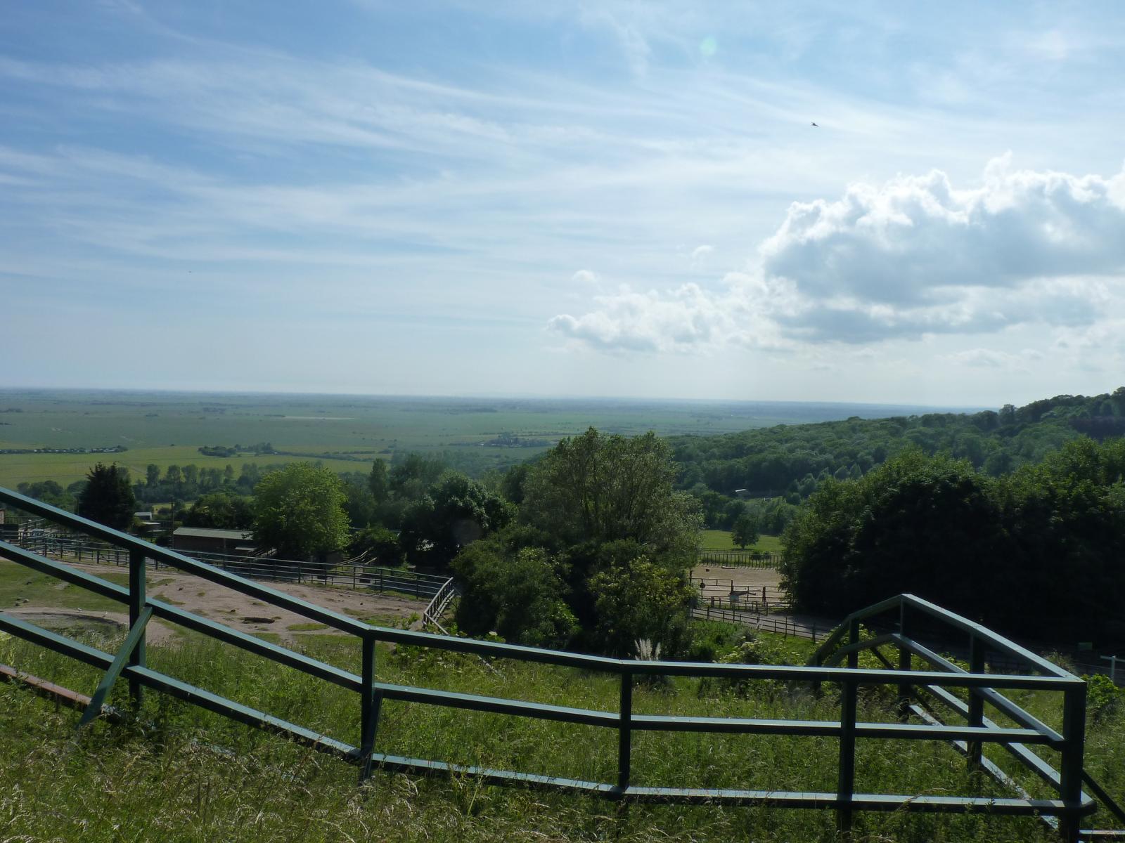 View from the Scottish Wildcat Enclosure