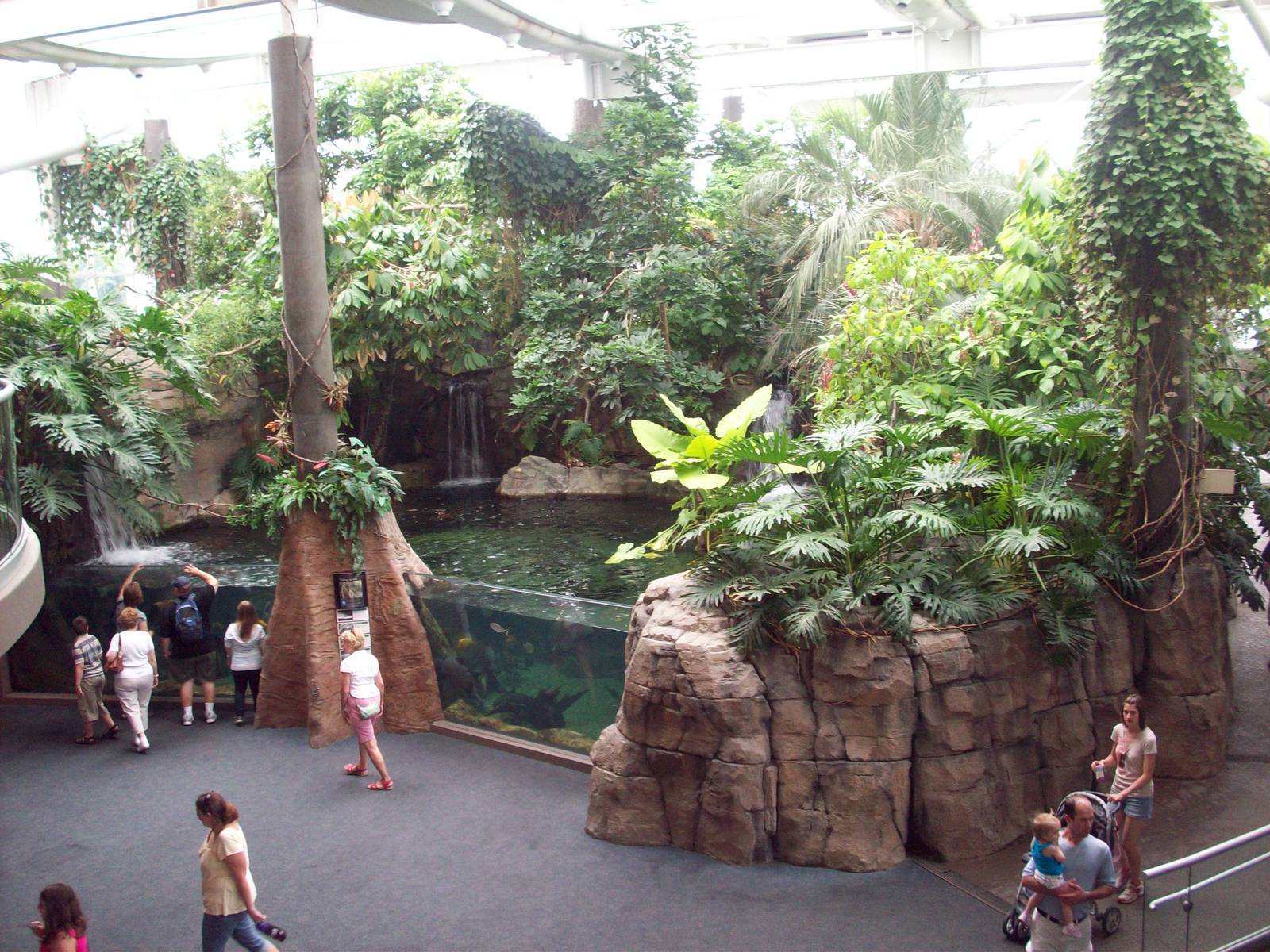 View from the second floor.