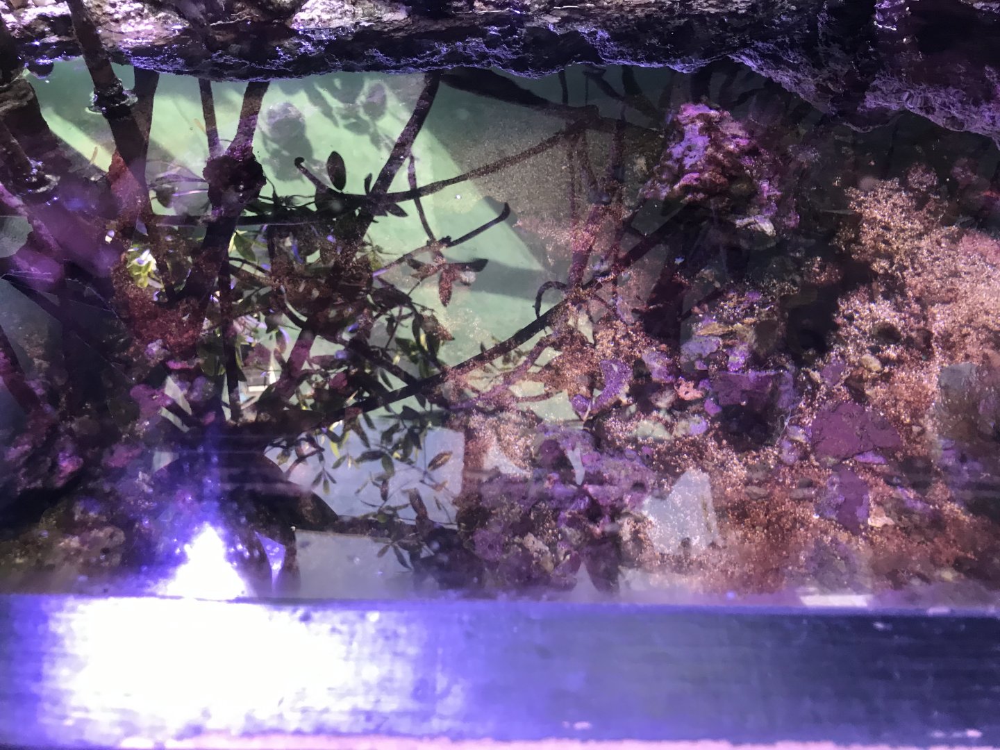 View from the side viewing area