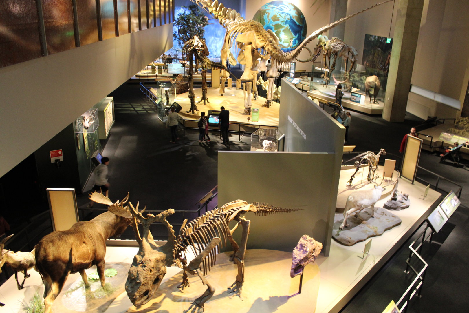 View From The Stairs