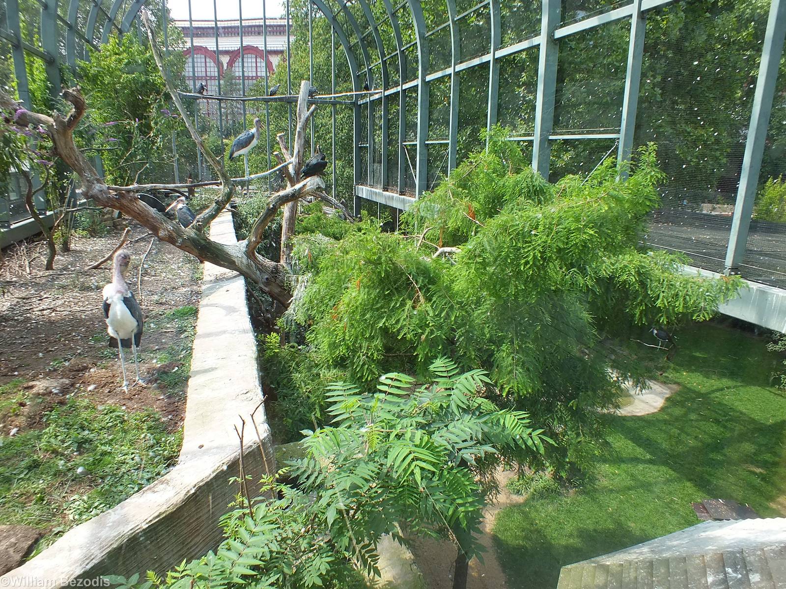 View from the Top Area of the Wader Aviary