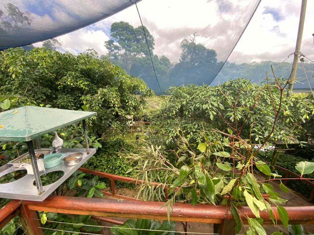 View from the top deck