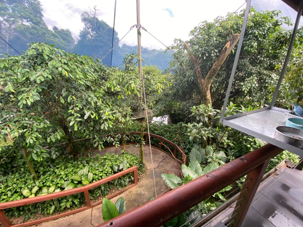 View from the top deck