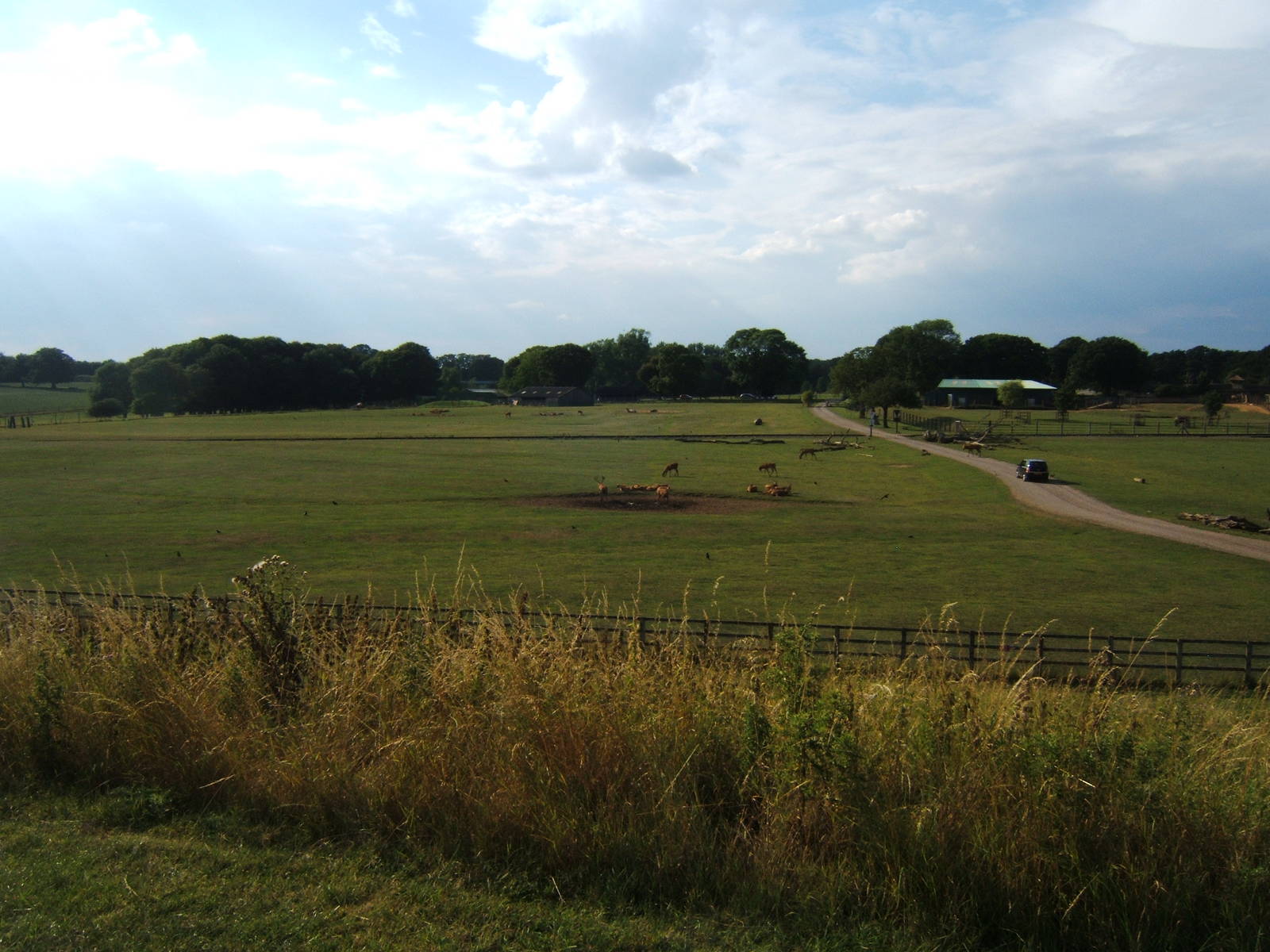 View from the top of Mount Whipsnade