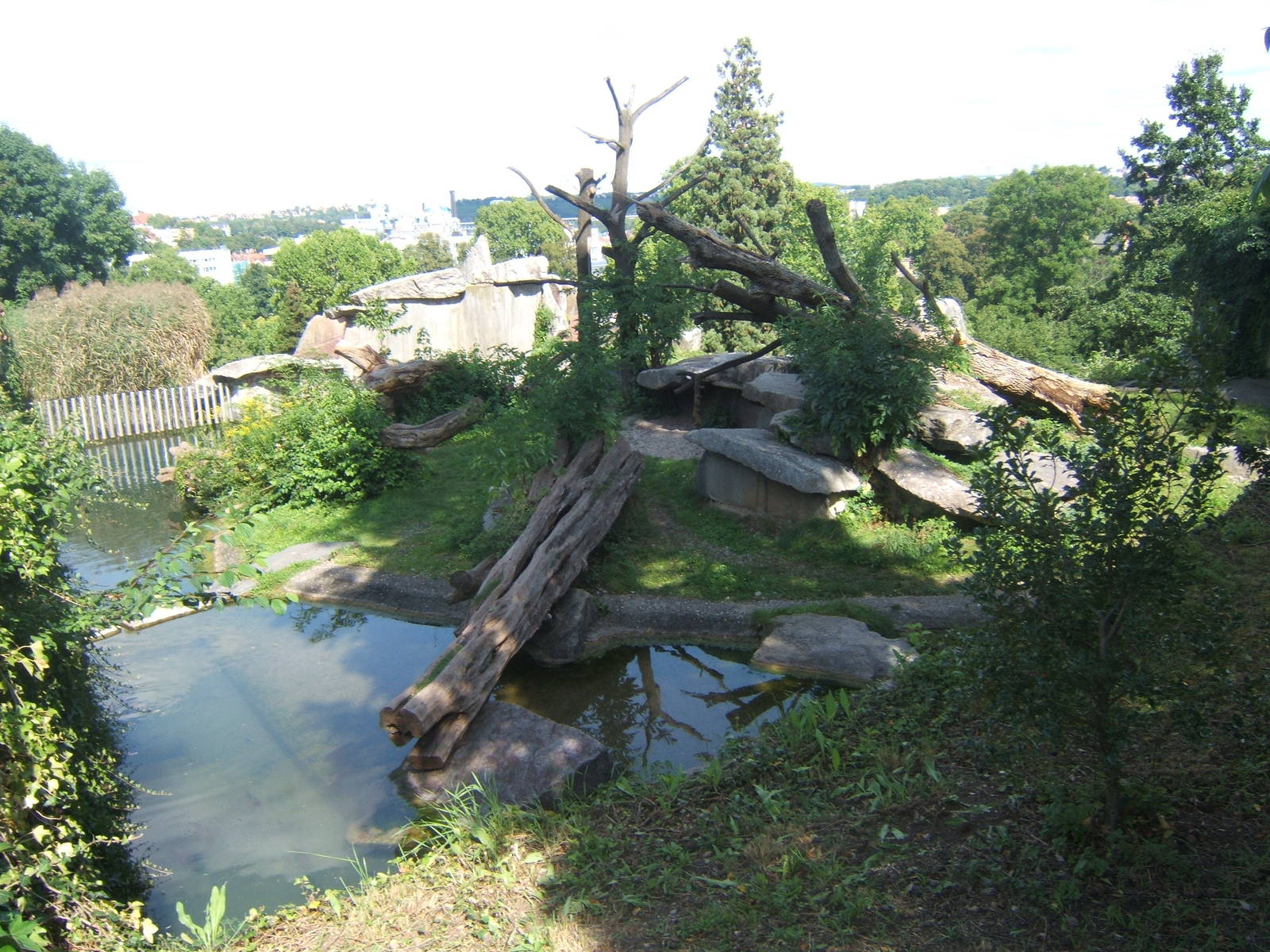 View from the top of the Bear enclosures
