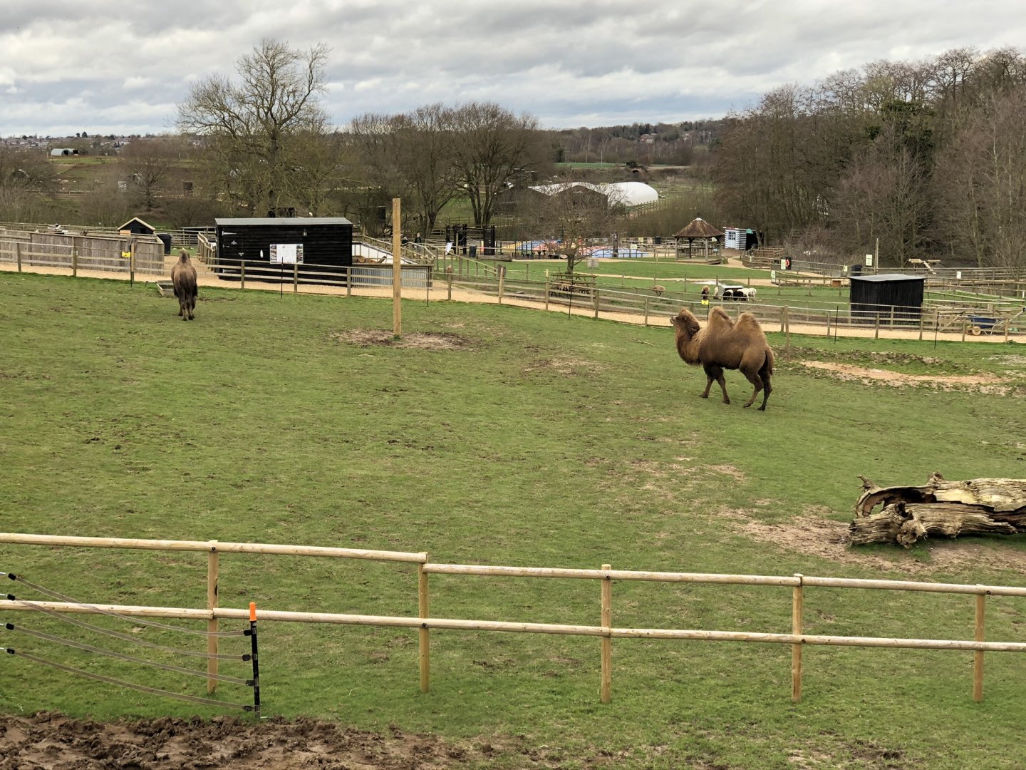 View from the top of the camel house